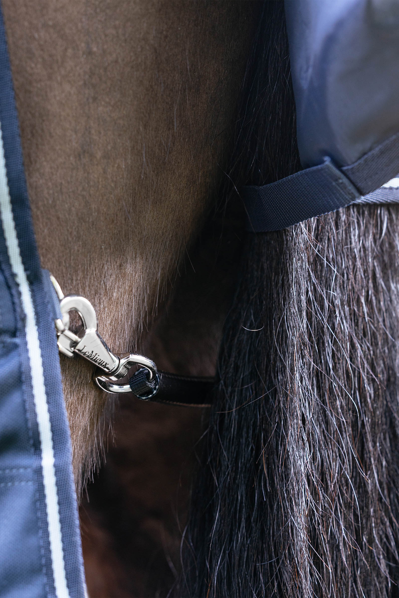 LeMieux Arika Storm-Tek couverture avec encolure amovible, 200 g