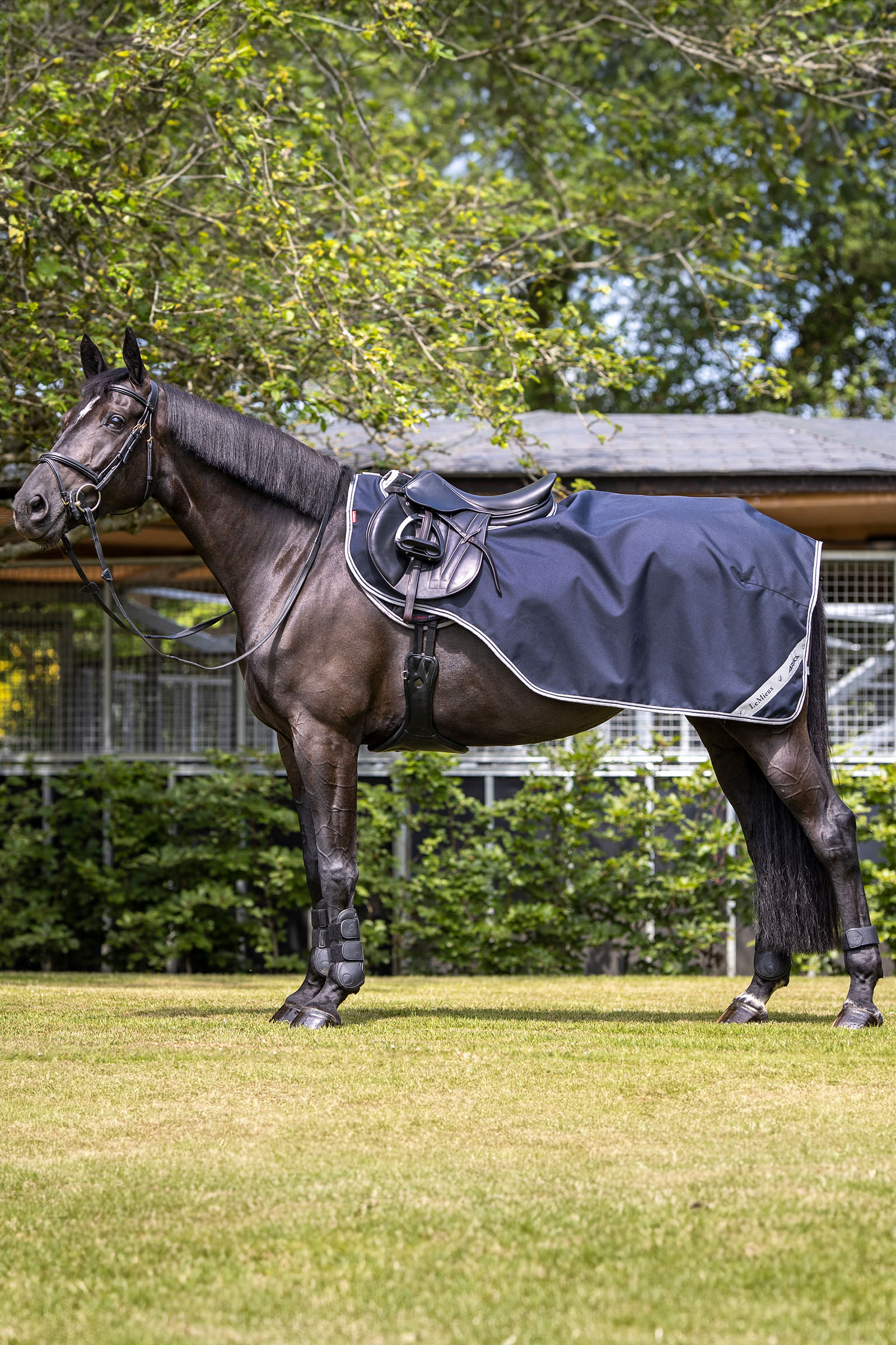 LeMieux Arika tapis d'exercice