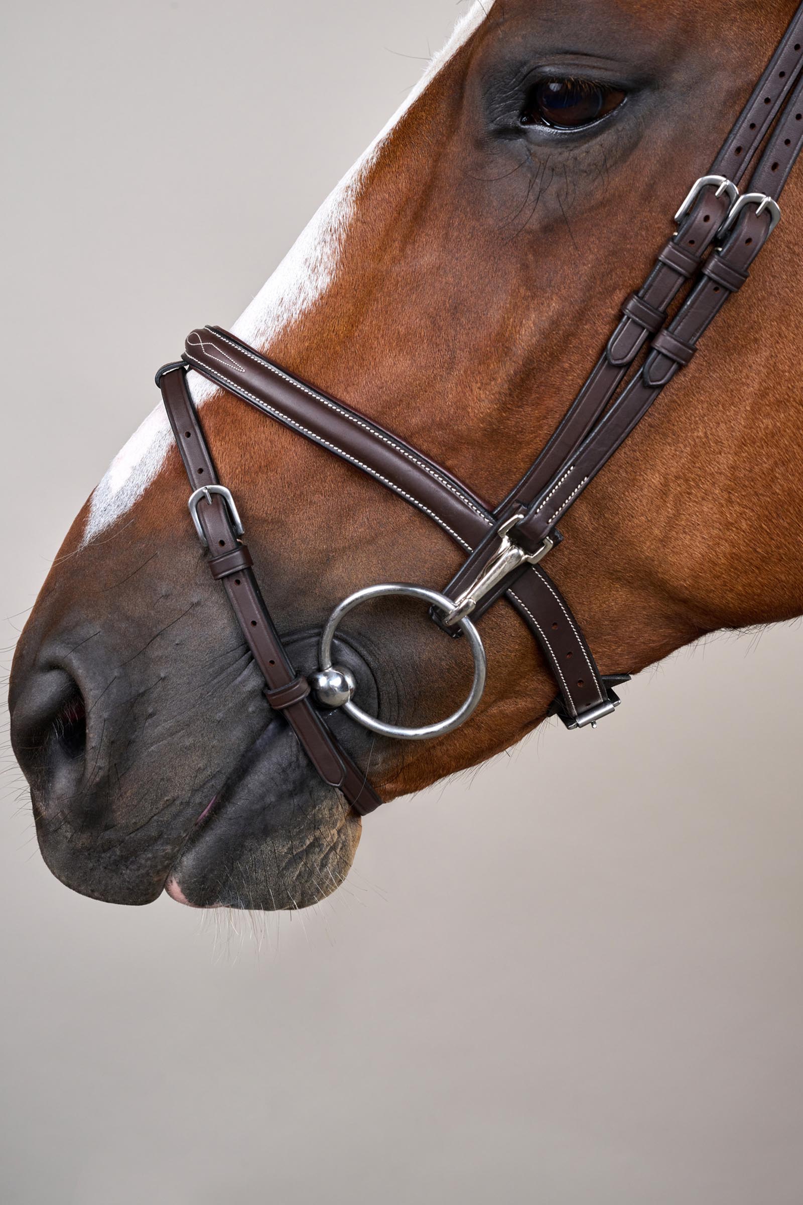 Dy'on Working bride muserolle combin&eacute;e avec mousquetons  