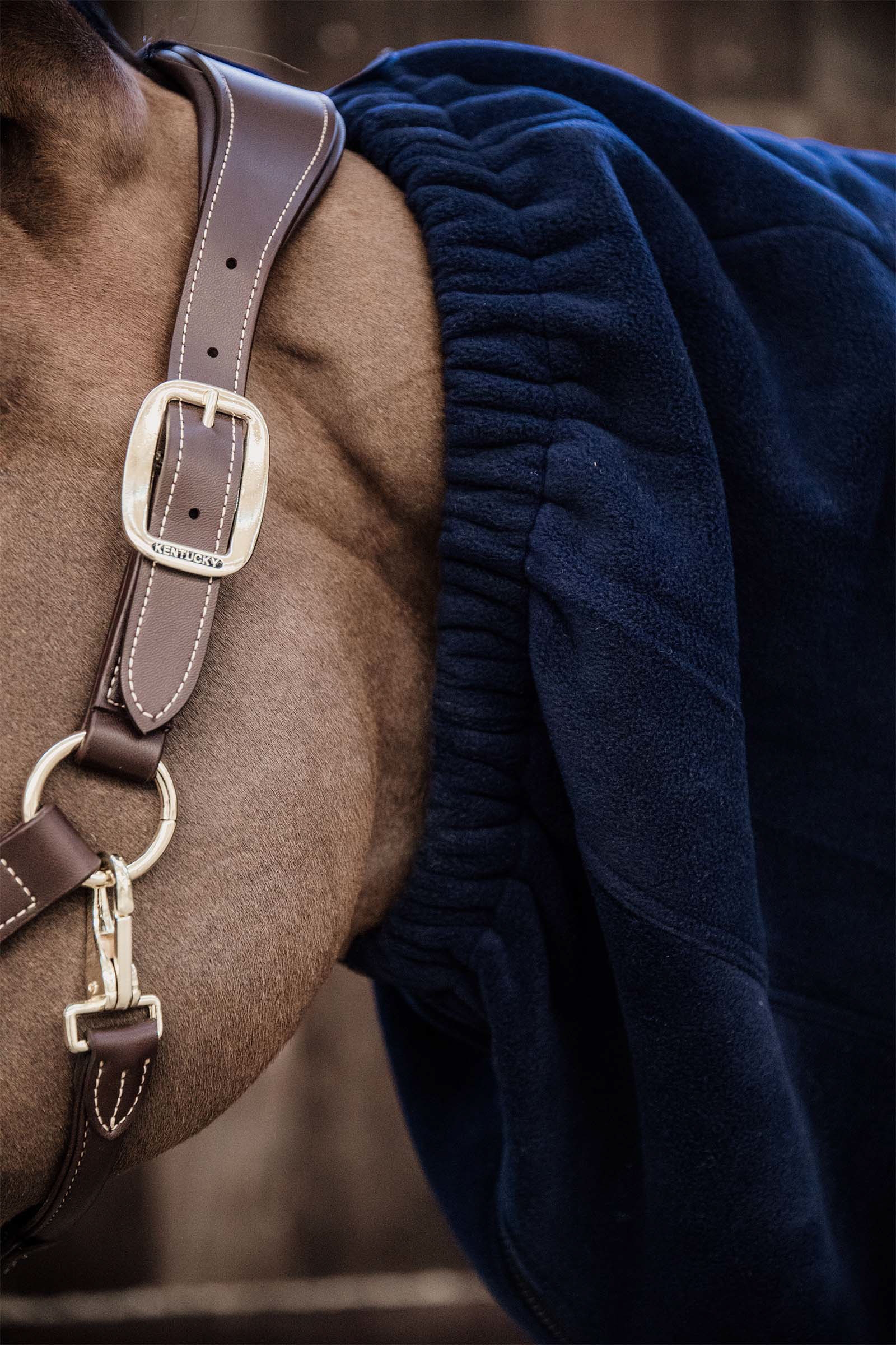 Kentucky Horsewear Echarpe Polaire pour Chevaux