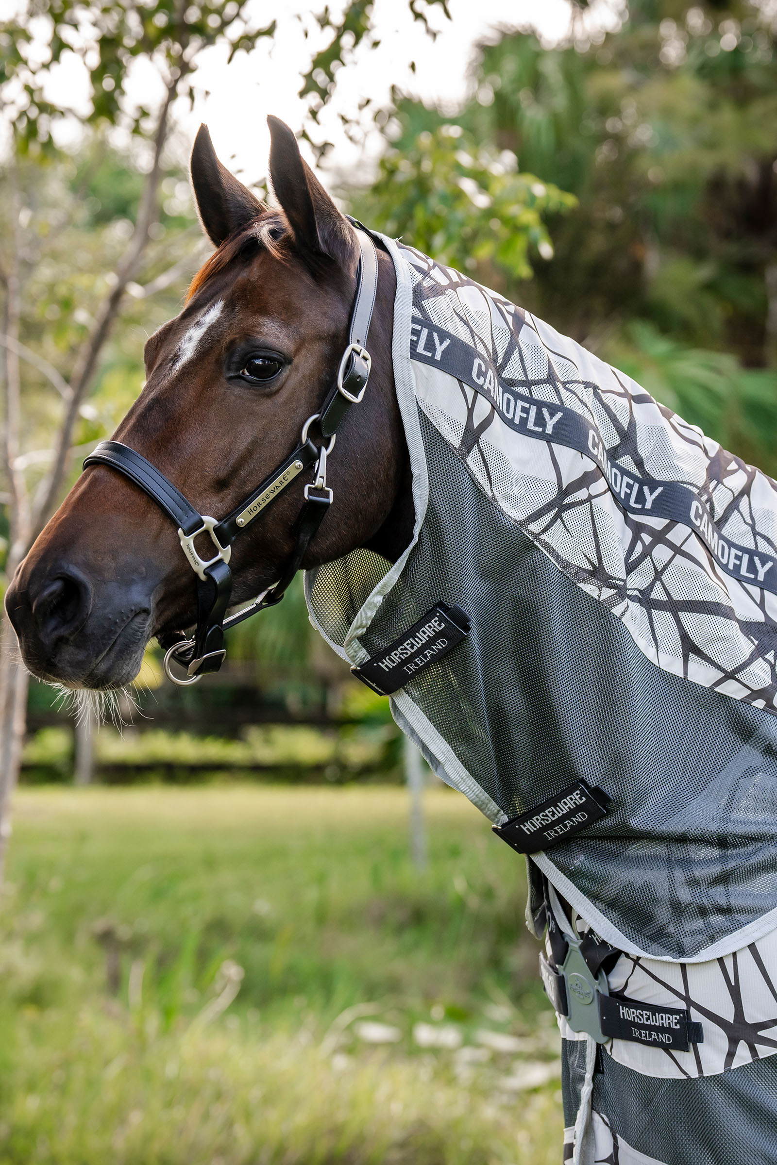 Horseware Amigo CamoFly couverture anti-mouches avec partie de cou amovible