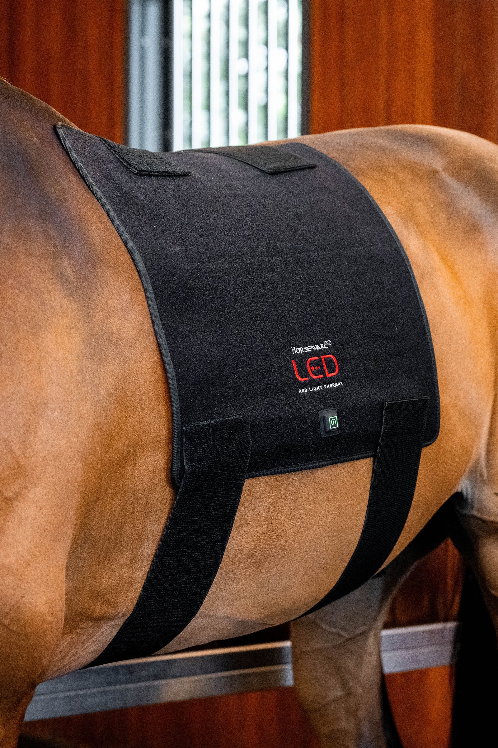 Horseware Pad thérapeutique LED à lumière rouge