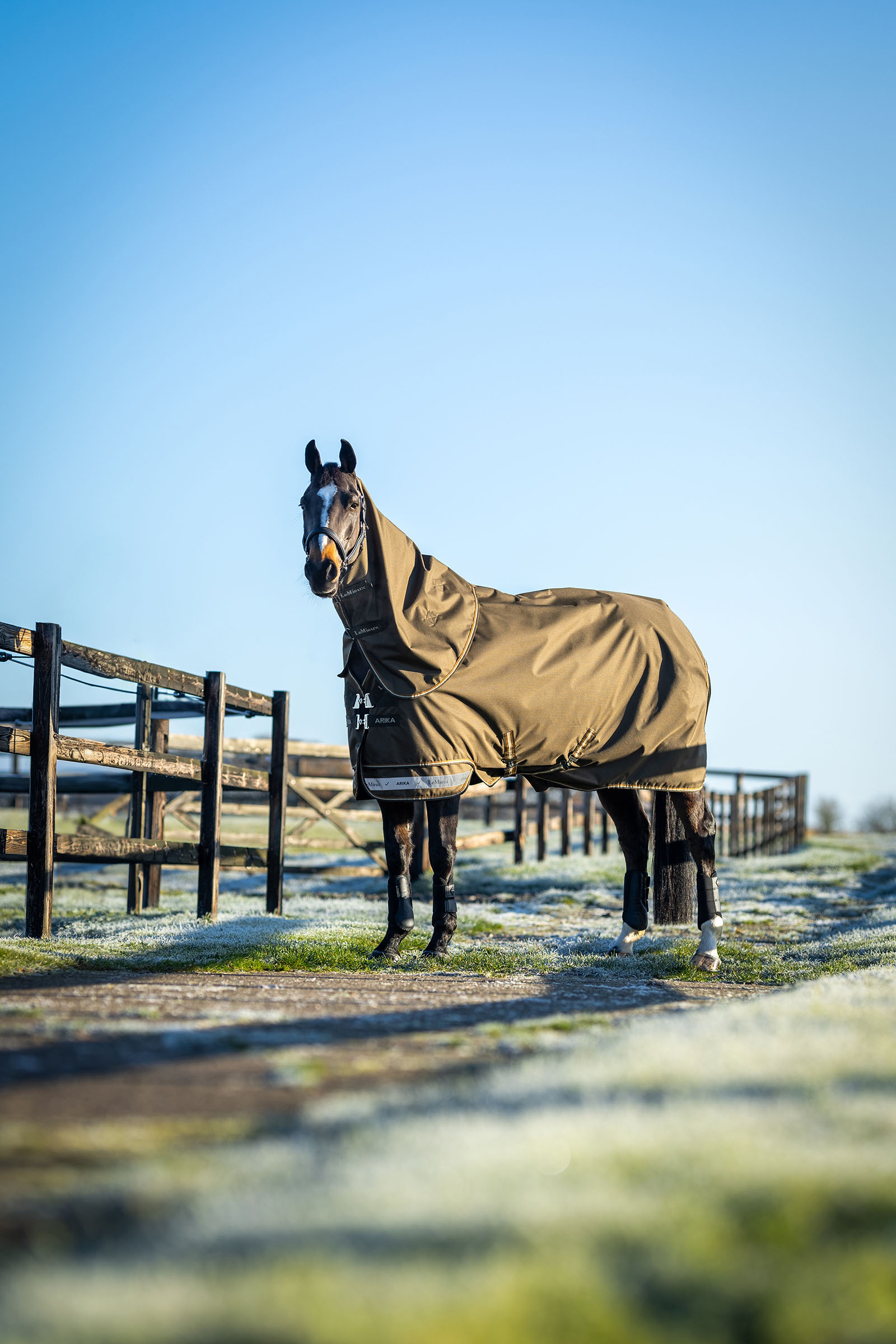 LeMieux Arika Ripstop Turnout Rug With Detachable Neck, 0 g