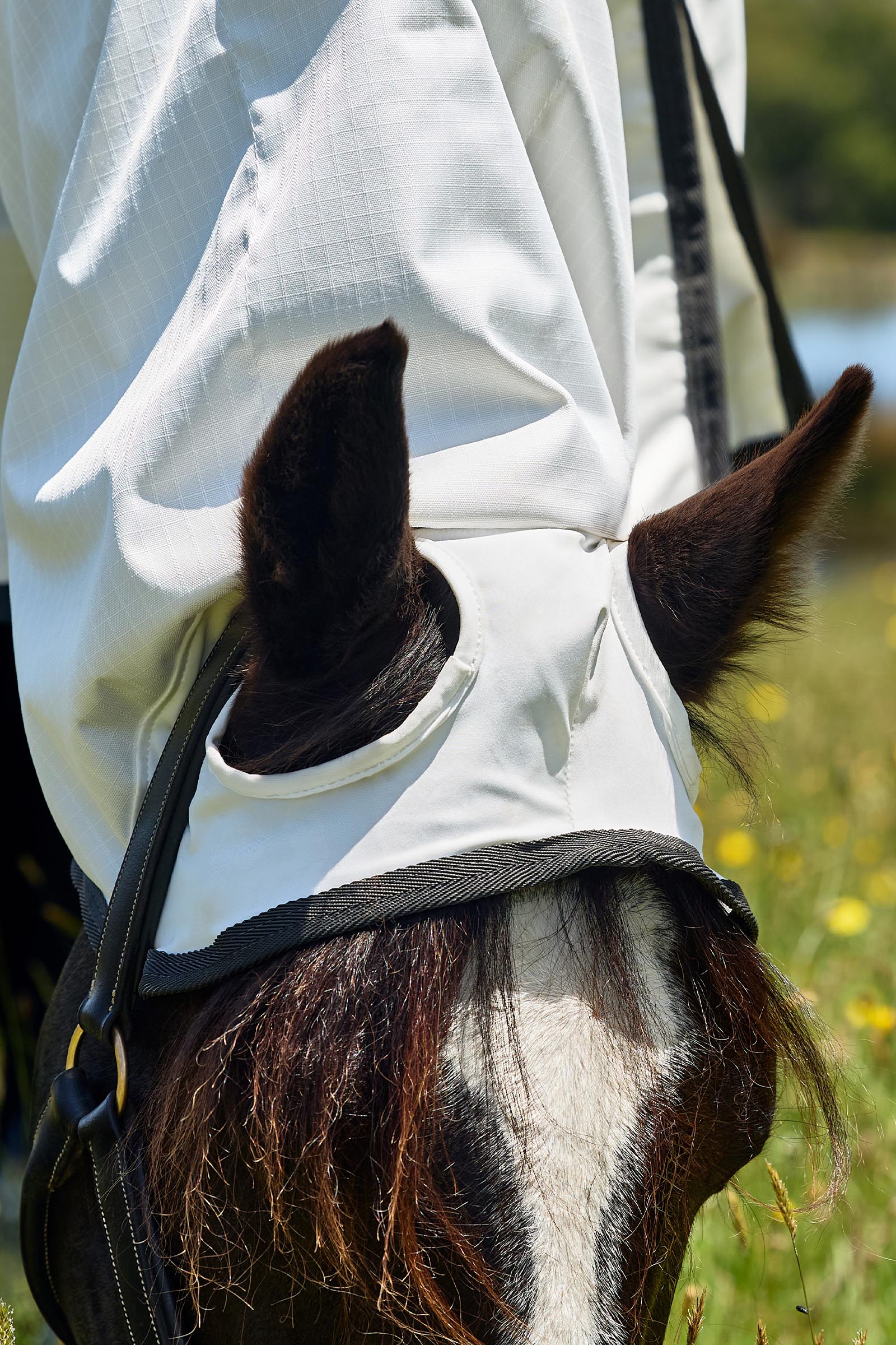 Weatherbeeta ComFiTec Sweet Itch Shield Couverture anti-mouches combo avec encolure fixe, 0 g  