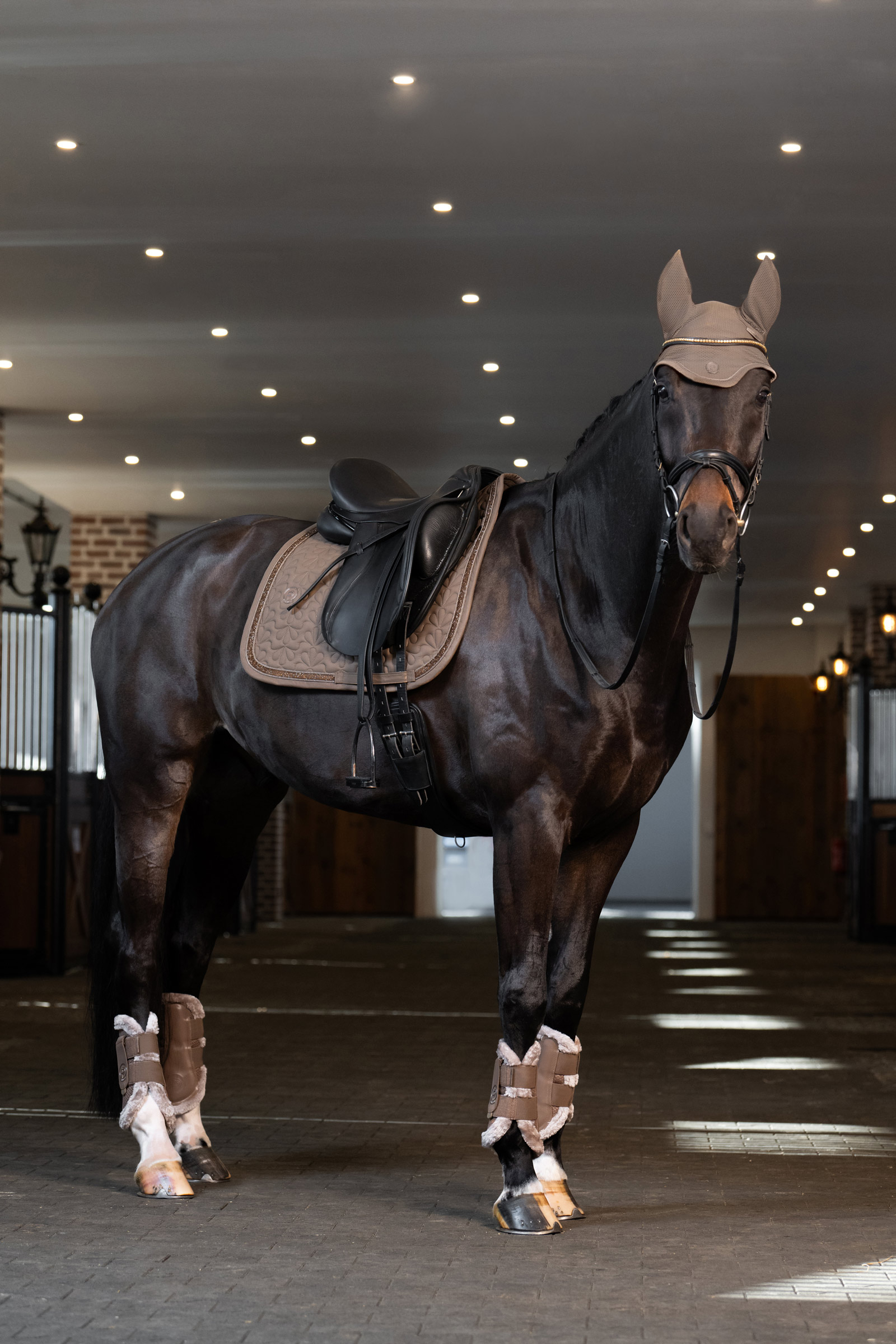 Eskadron Platinum 25 Dynair Mesh Sport bonnet anti-mouches