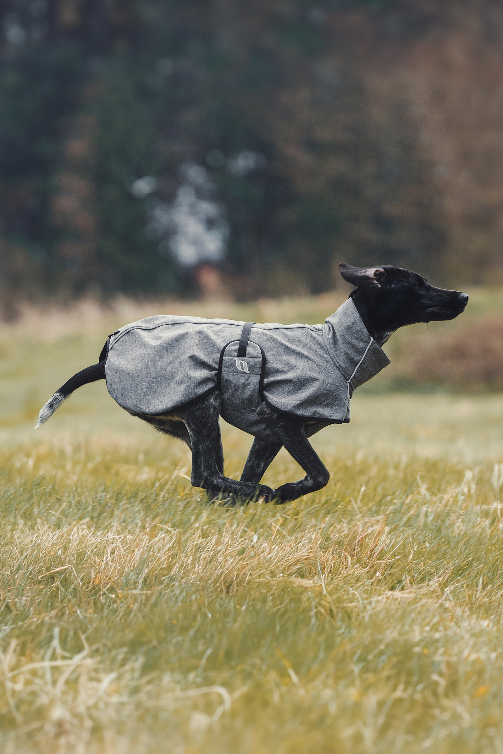 Manteau pour chien Back on Track Bark All-Round, 70-80 cm