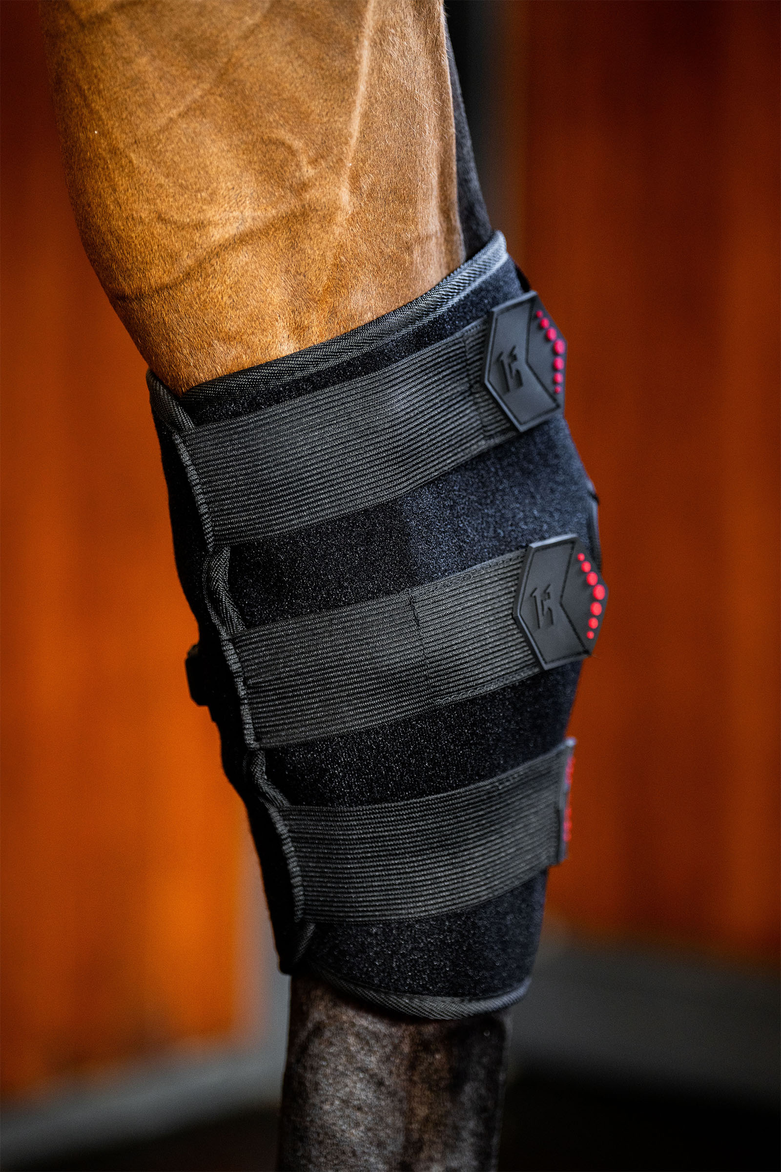 Horseware protège-jambes thérapeutique LED à lumière rouge (1 pce)