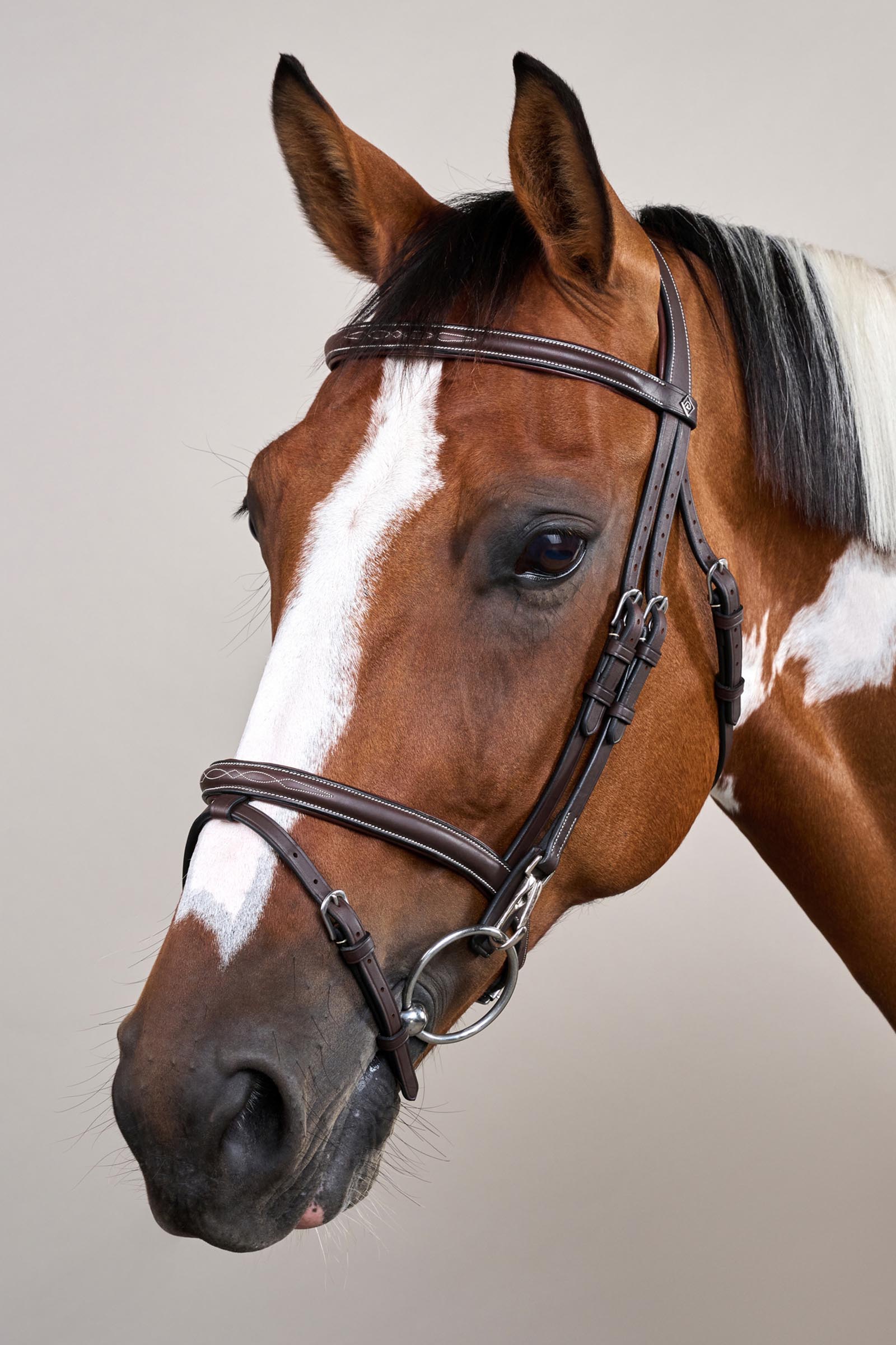 Dy'on Working bride muserolle combin&eacute;e avec mousquetons  