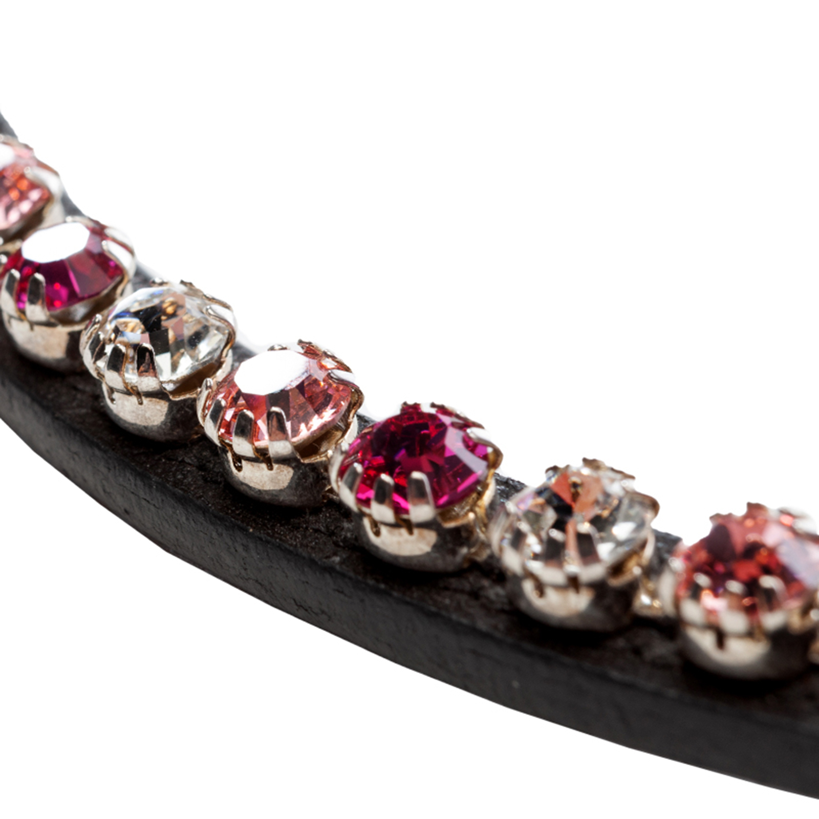 Frontal Kavalkade Splendid