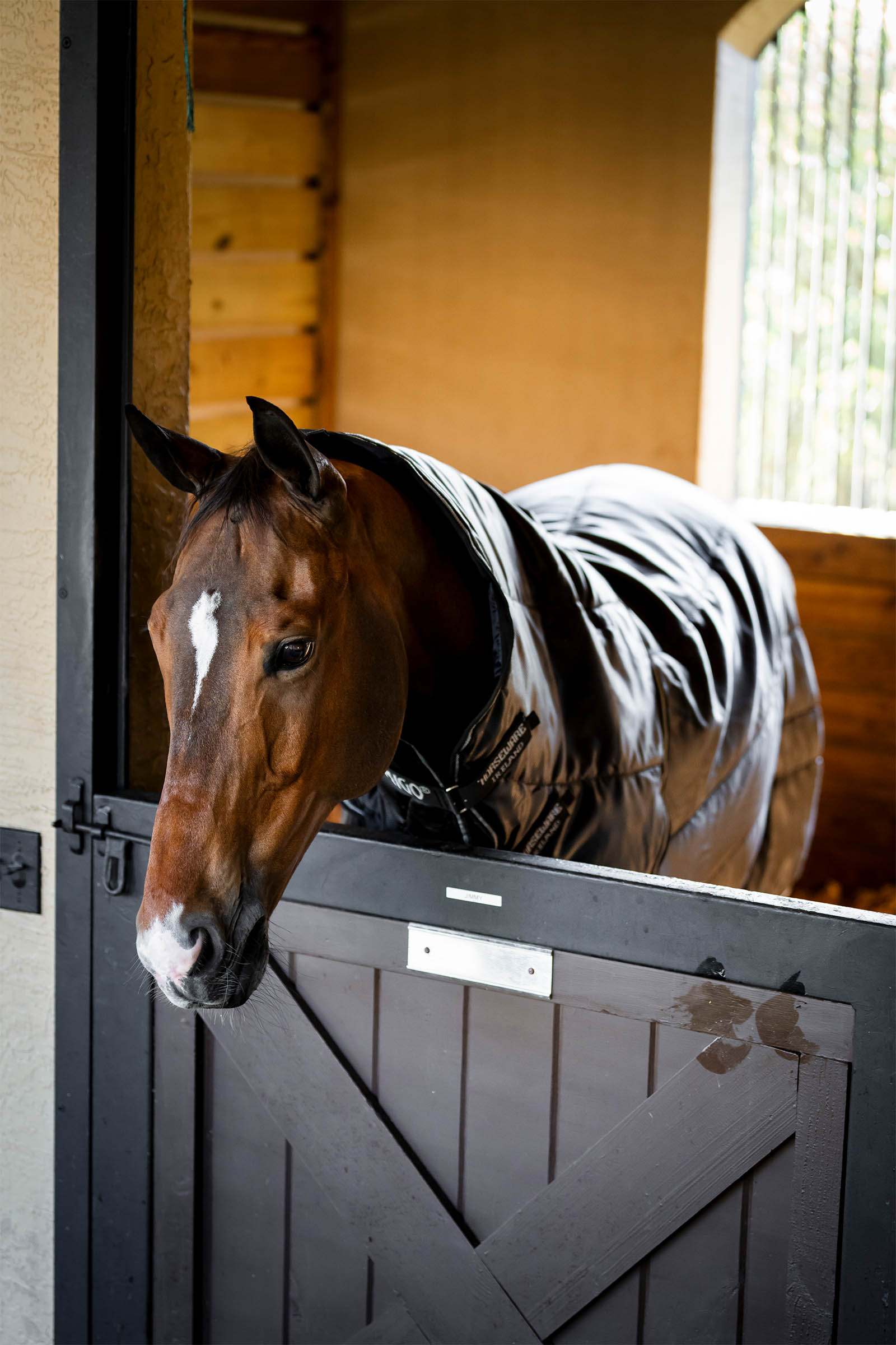 Horseware Amigo Ripstop Insulator Plus couverture d&rsquo;&eacute;curie, 200 g