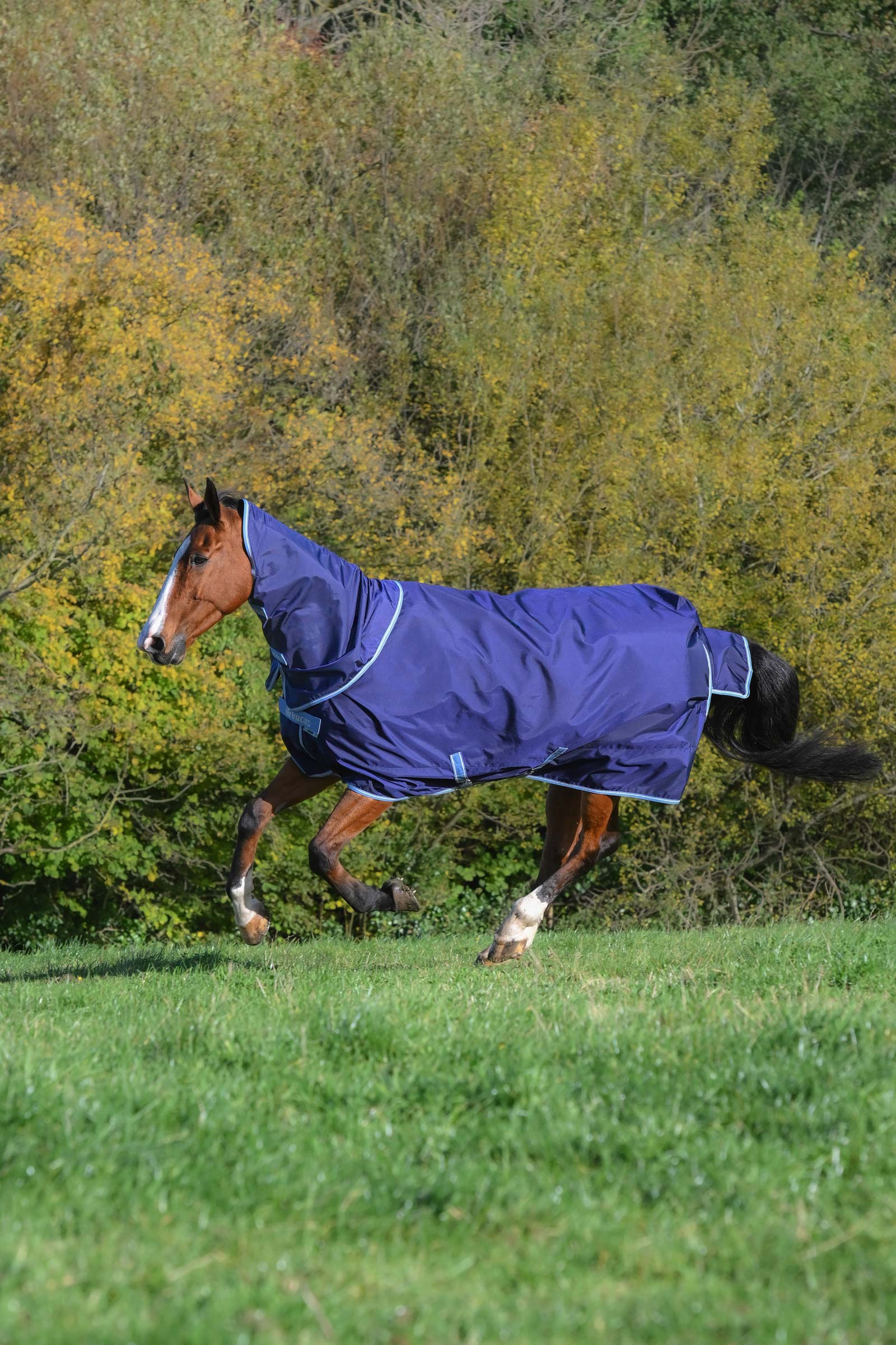 Bucas Atlantic Exclusive Rug & Neck, 150 g