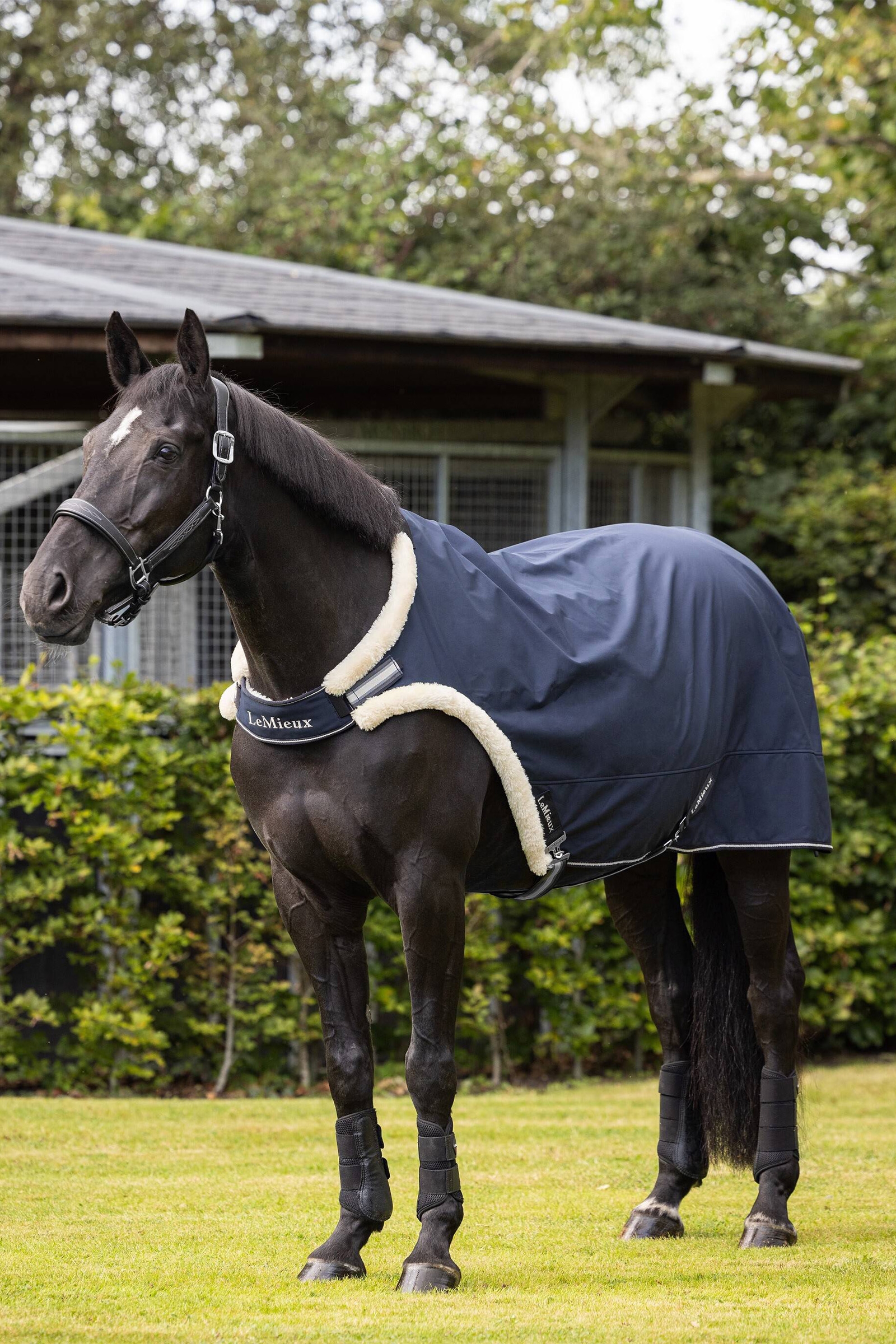 LeMieux Couverture de marche