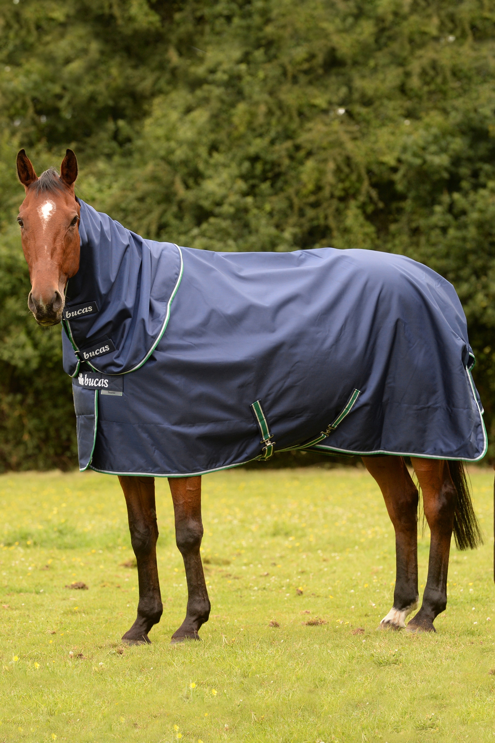 Bucas Smartex Rain Pony Turnout Rug with Cooling Function, 0g