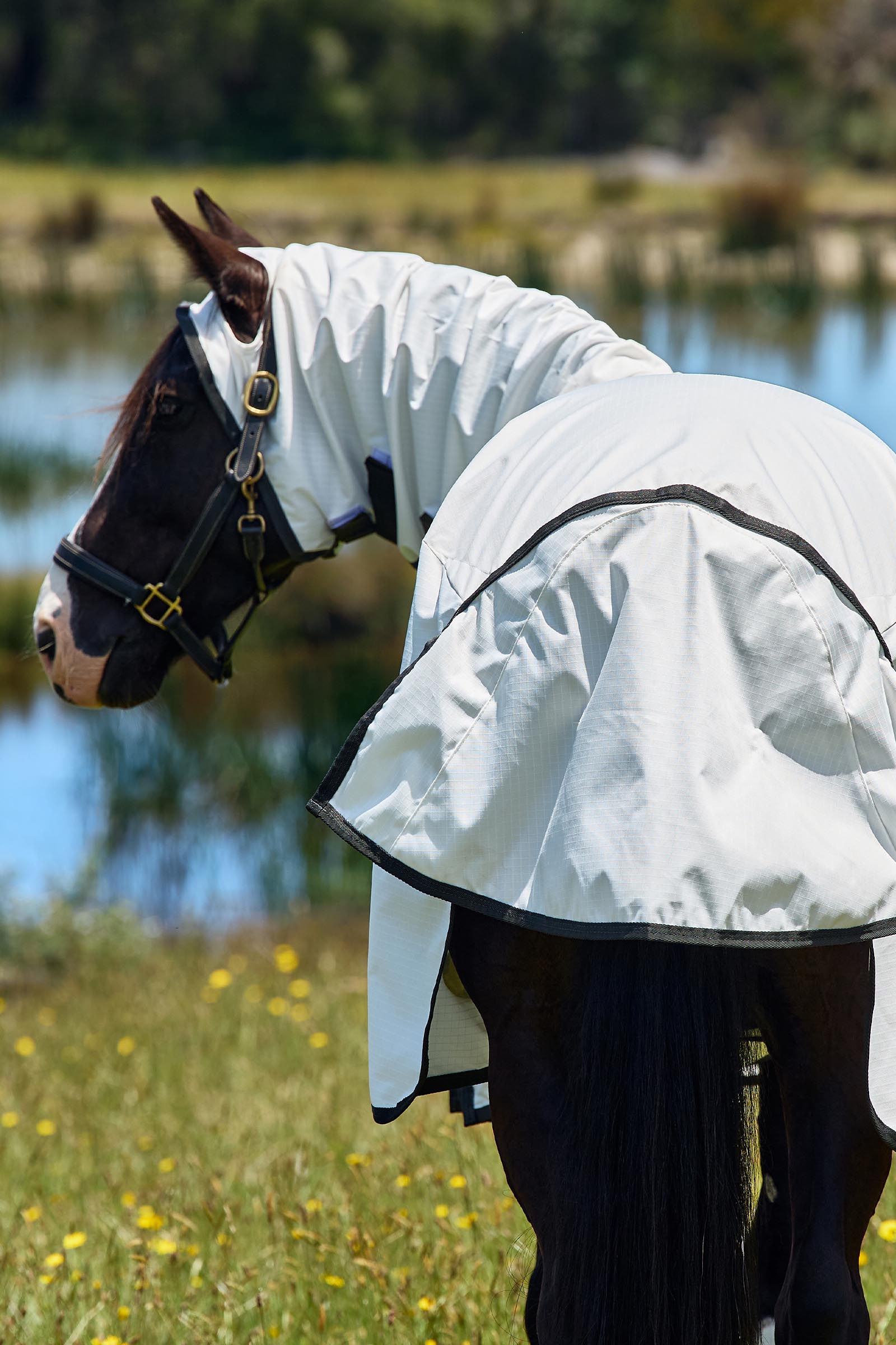 Weatherbeeta ComFiTec Sweet Itch Shield Couverture anti-mouches combo avec encolure fixe, 0 g  