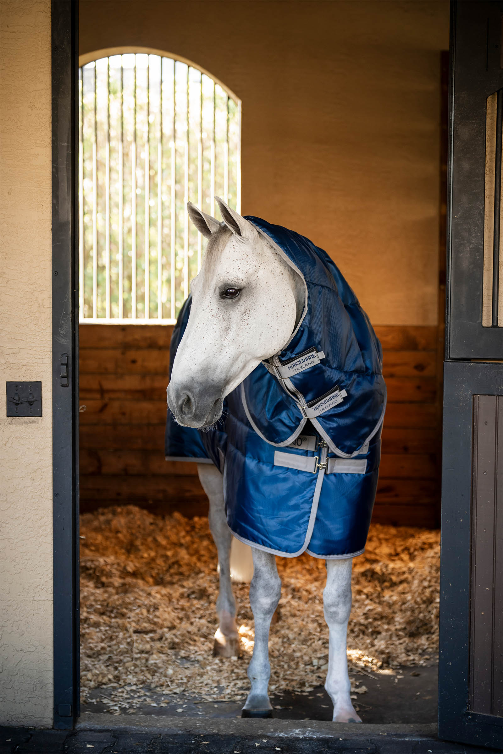 Horseware Amigo Ripstop Insulator Plus couverture d&rsquo;&eacute;curie, 350 g