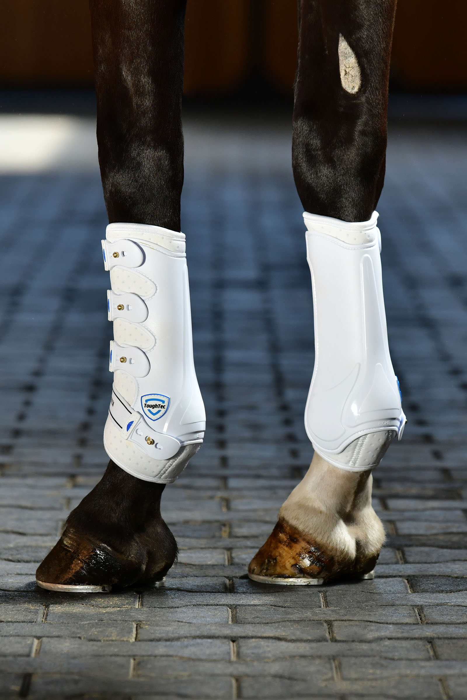 Weatherbeeta Tough-Tec bottes de dressage à coque dure