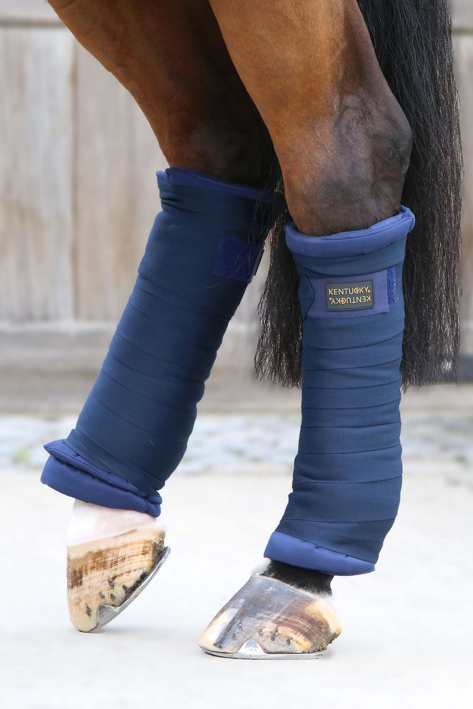 Sous-bandages matelass&eacute;s Kentucky Horsewear, lot de 4
