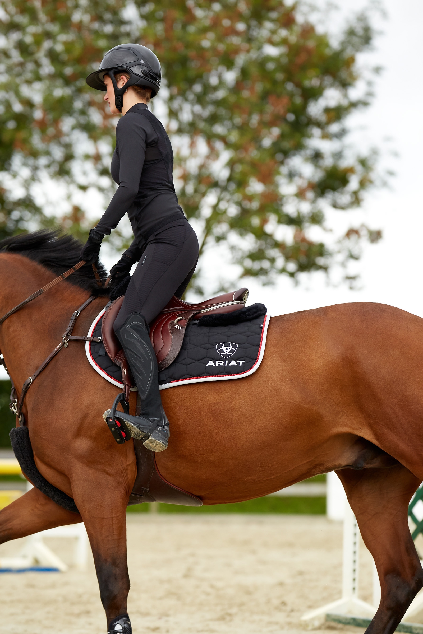 Ariat Ascent collants patch genou pour femmes