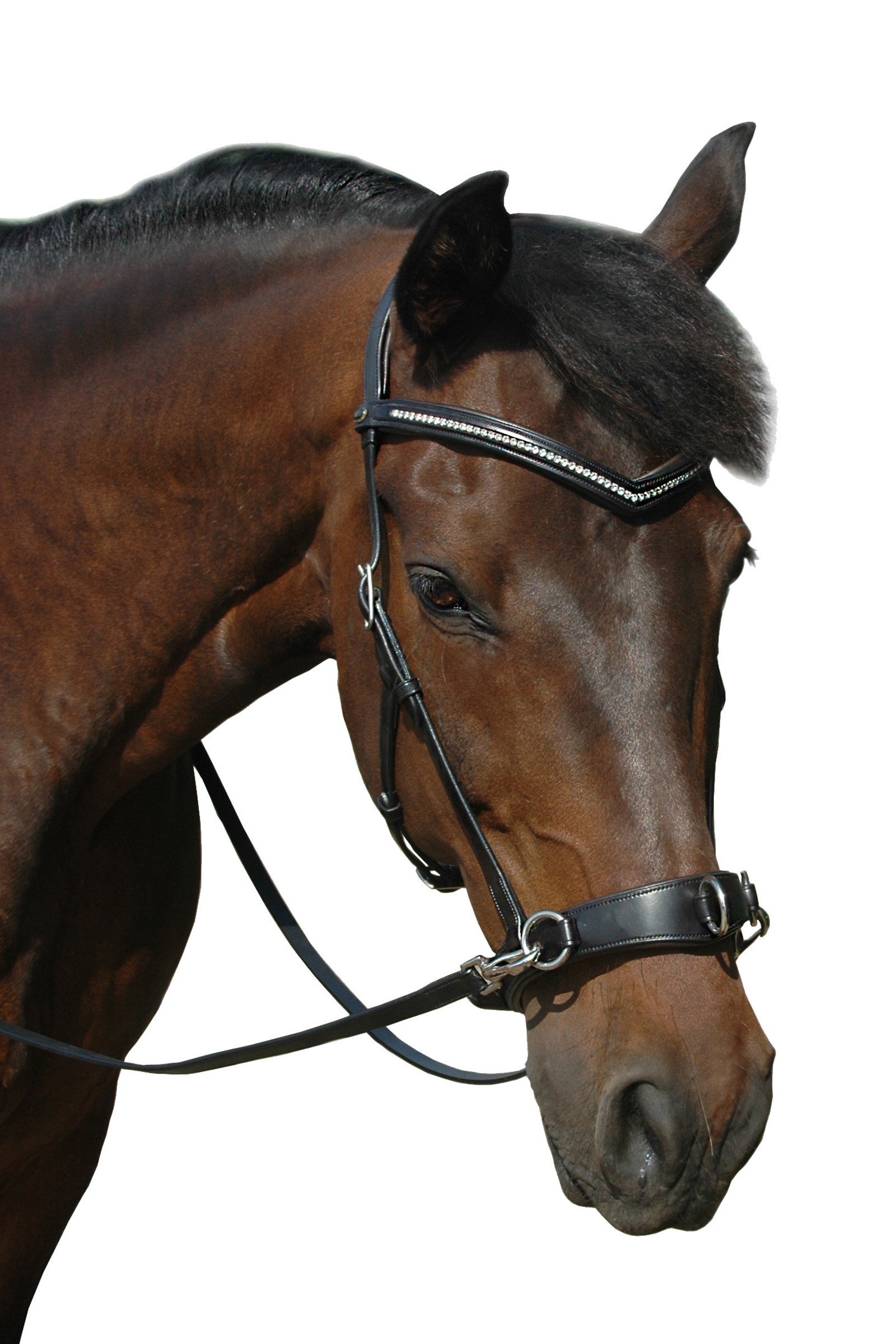 F.R.A. Freedom Riding Articles Wendy B Cavesson, Bitless Bridle, Leather Reins w/ Clip