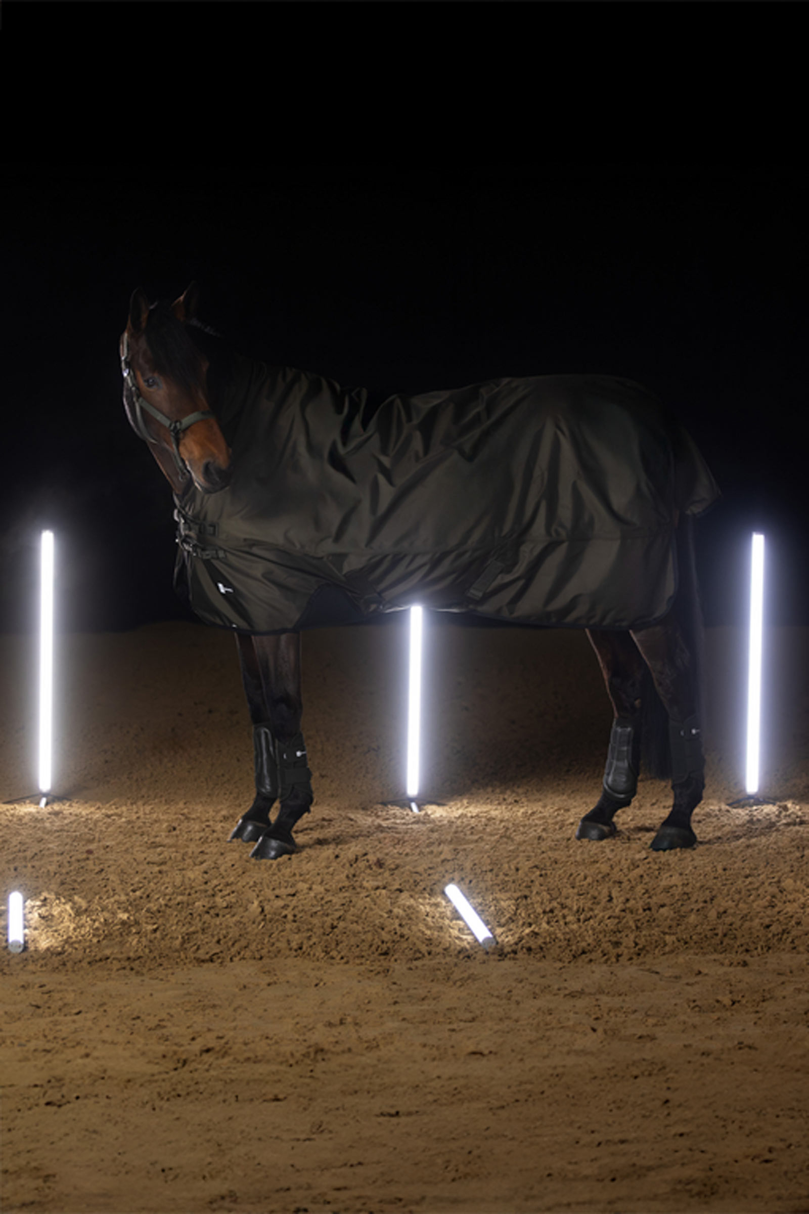 Eskadron Dynamics AW25 Beta couverture de paddock, 150 g