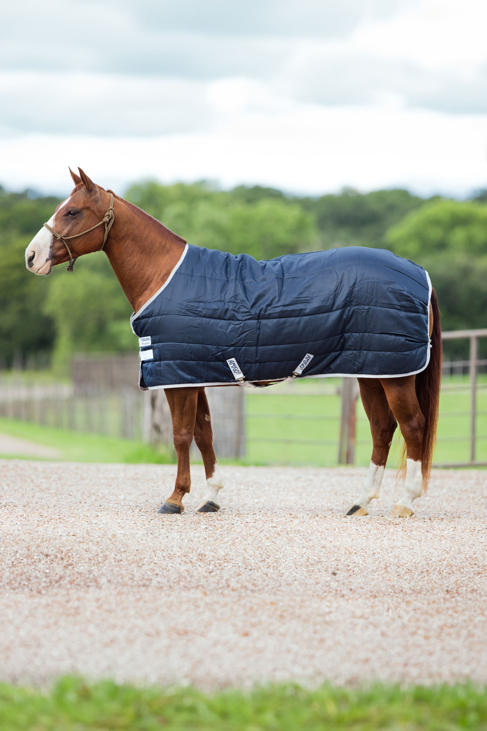 Horseware Amigo Insulator couverture écurie, 200g