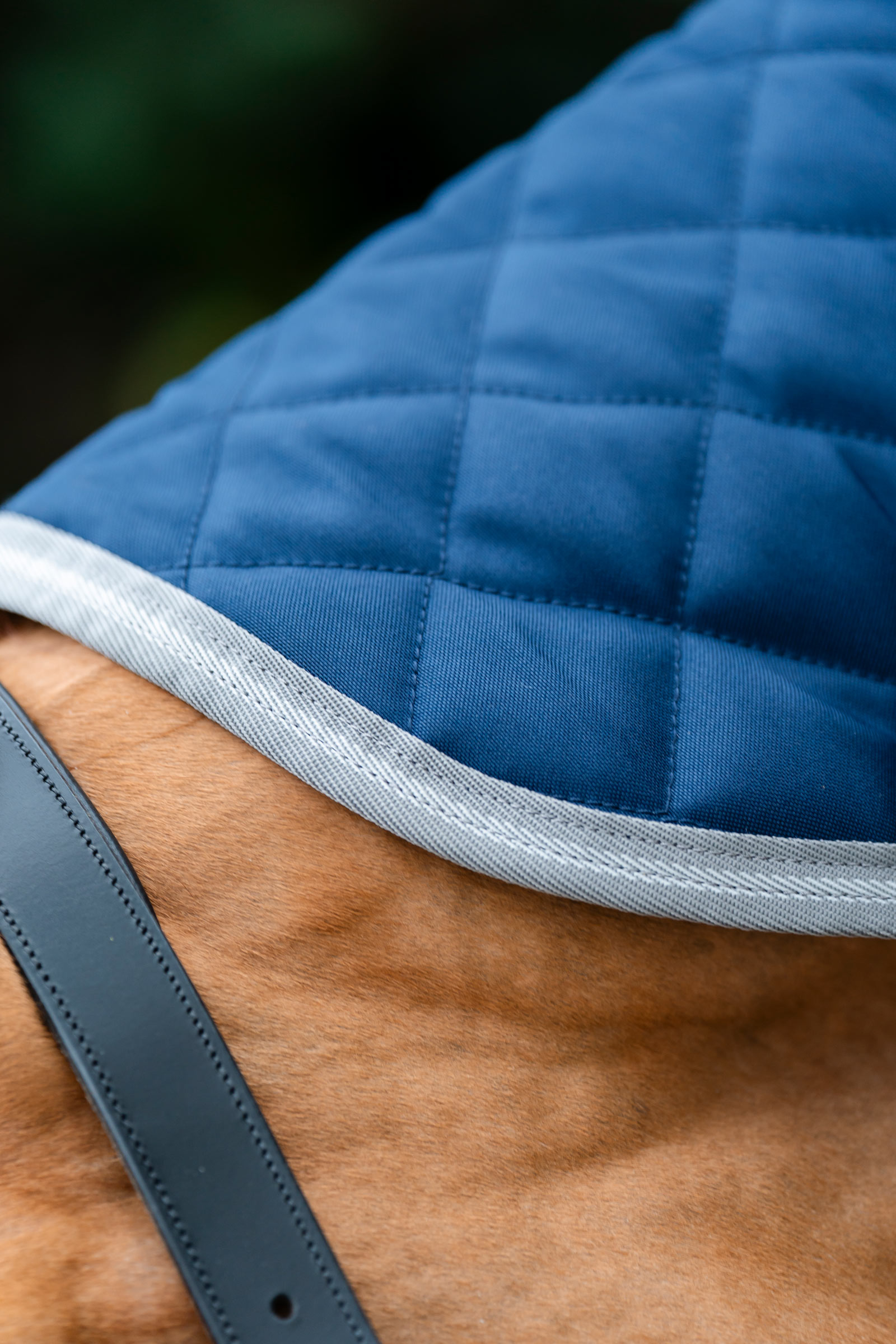 Horseware Amigo couverture d'&eacute;curie matelass&eacute;e Plus, 200 g