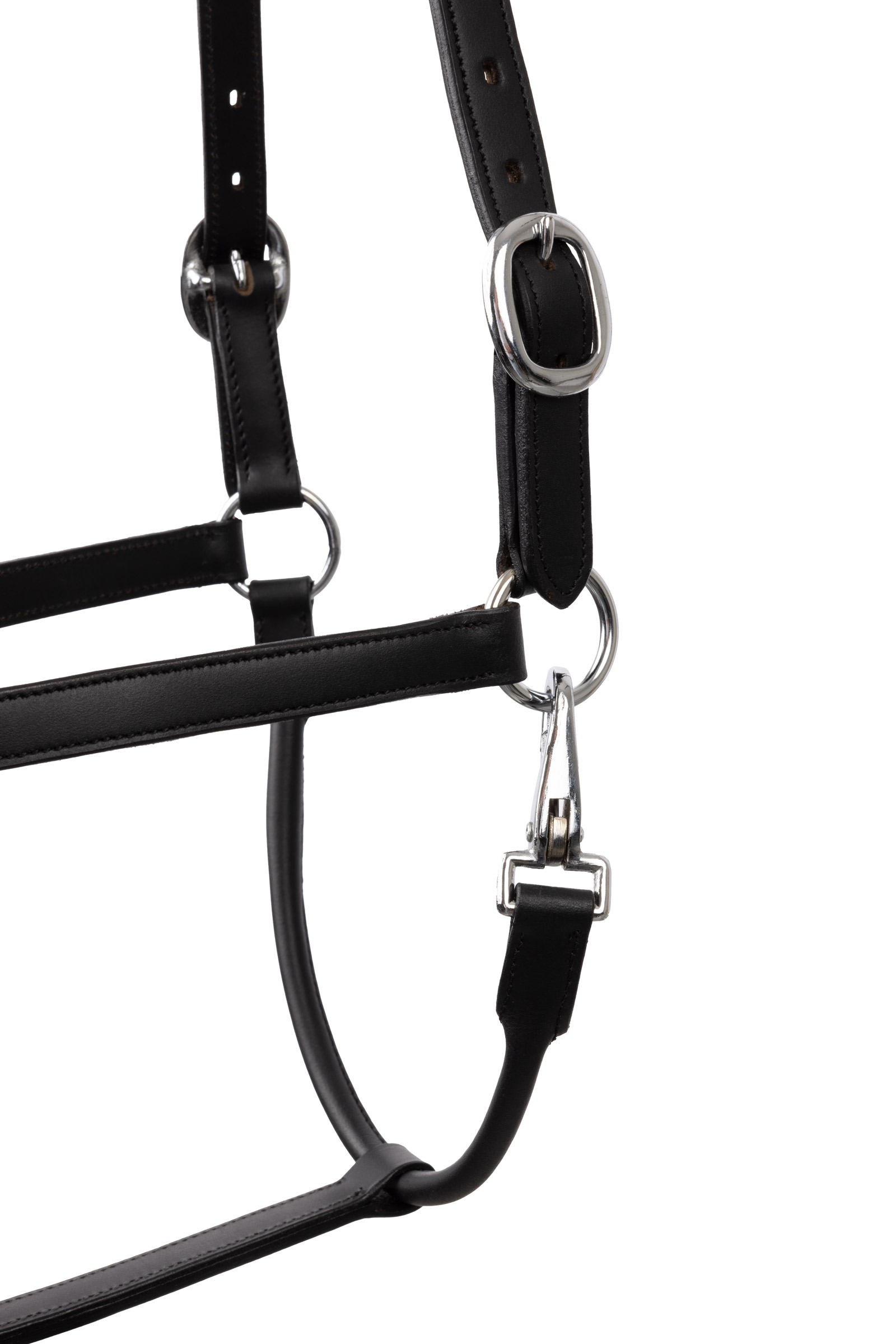 Horze licol avec cristaux