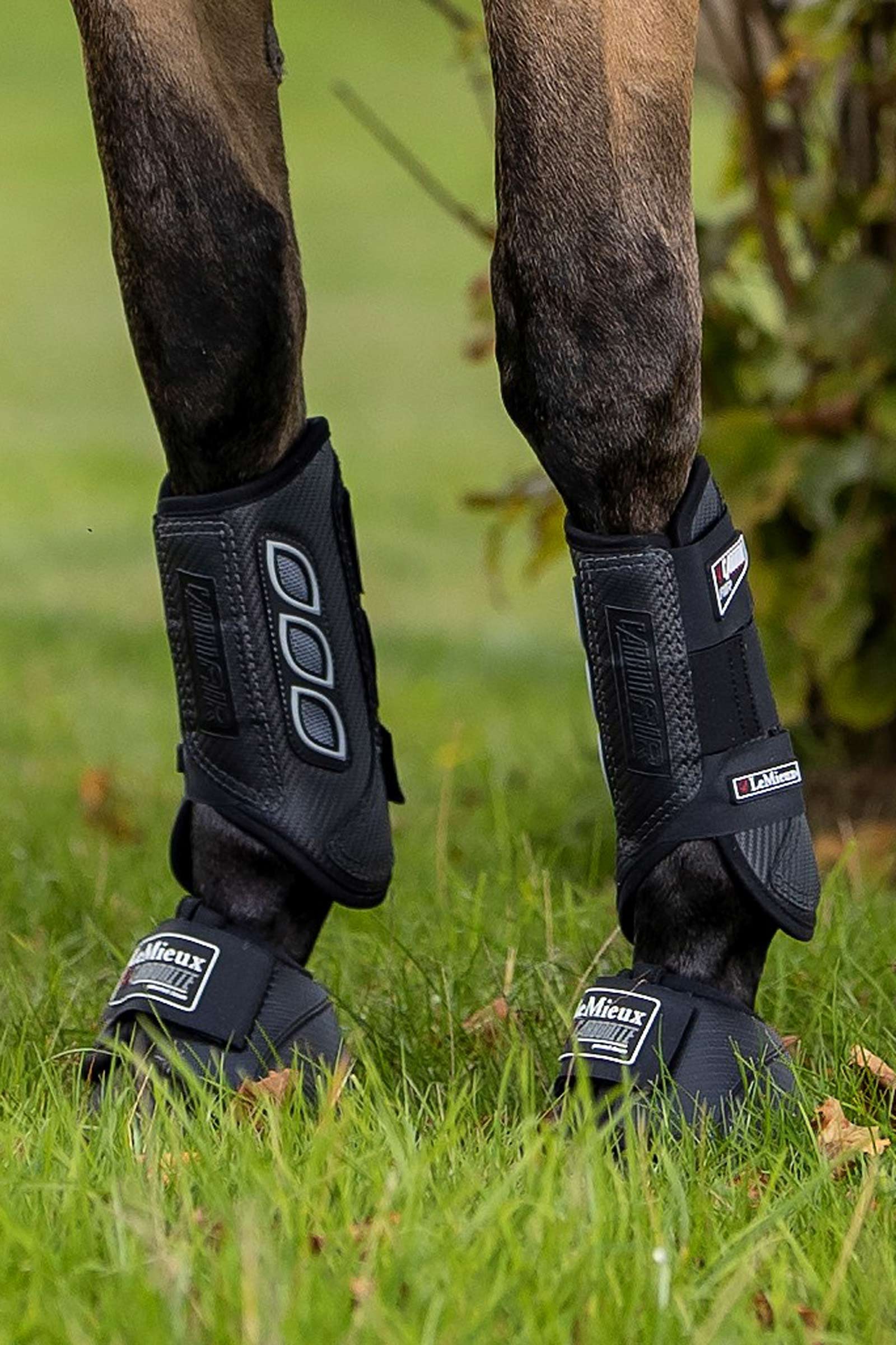 Gu&ecirc;tres de protection prot&egrave;ge-tendons LeMieux Carbon Air XC, ant&eacute;rieurs
