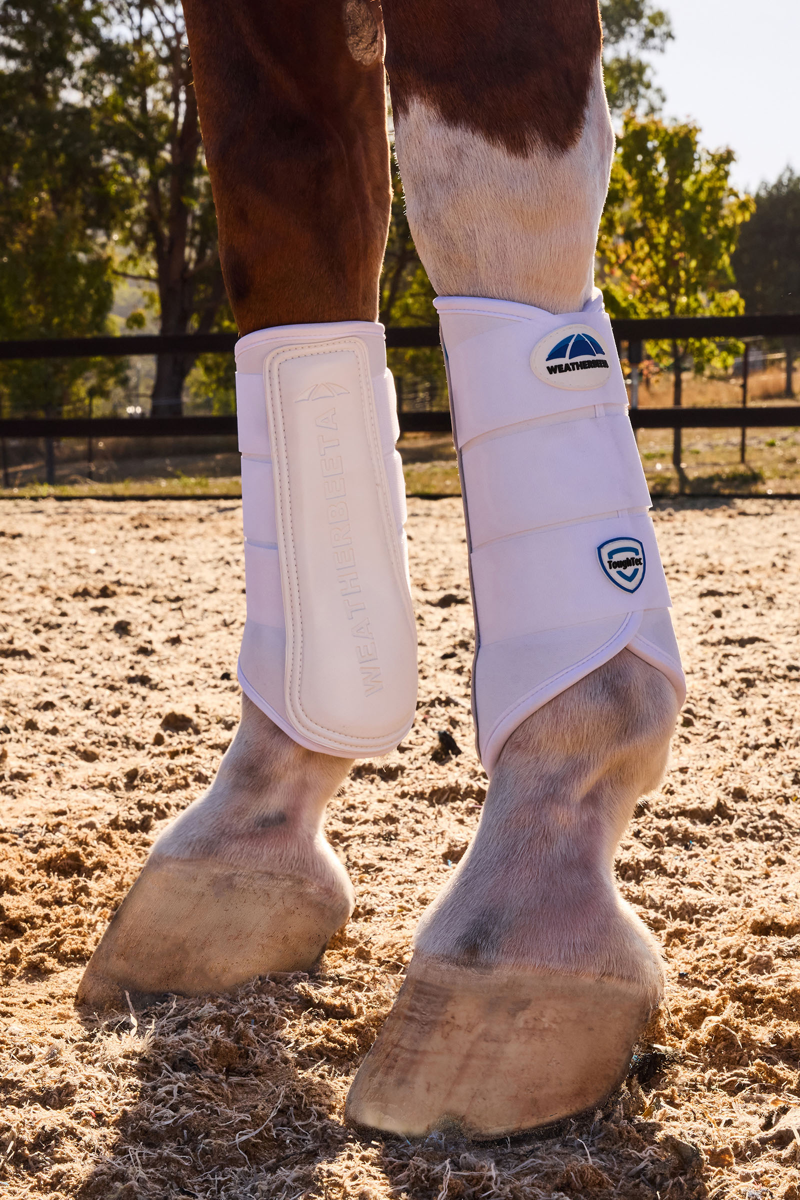 Weatherbeeta Tough-Tec Prime Gu&ecirc;tres de dressage