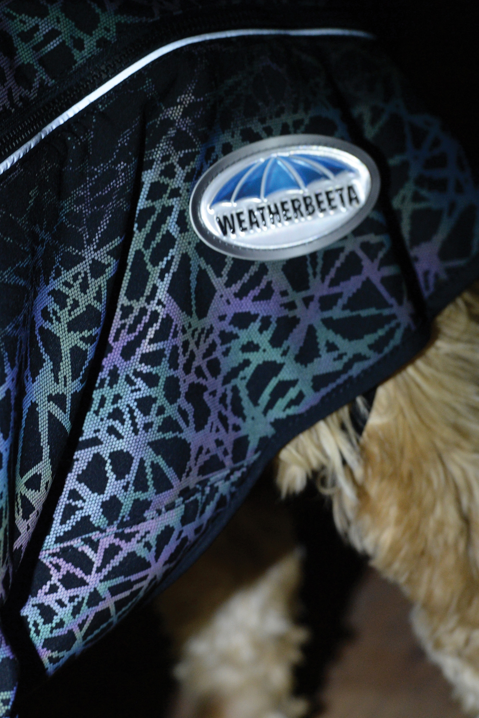 Manteau pour chien actif Weatherbeeta Comfitec à imprimé réfléchissant
