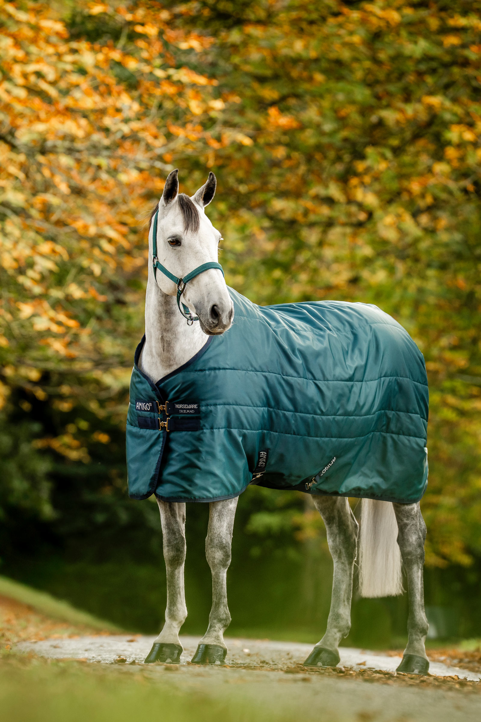 Horseware Amigo Ripstop couverture d’écurie matelassée, 350 g