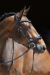 Kieffer Anouk Softtech Line Bridle