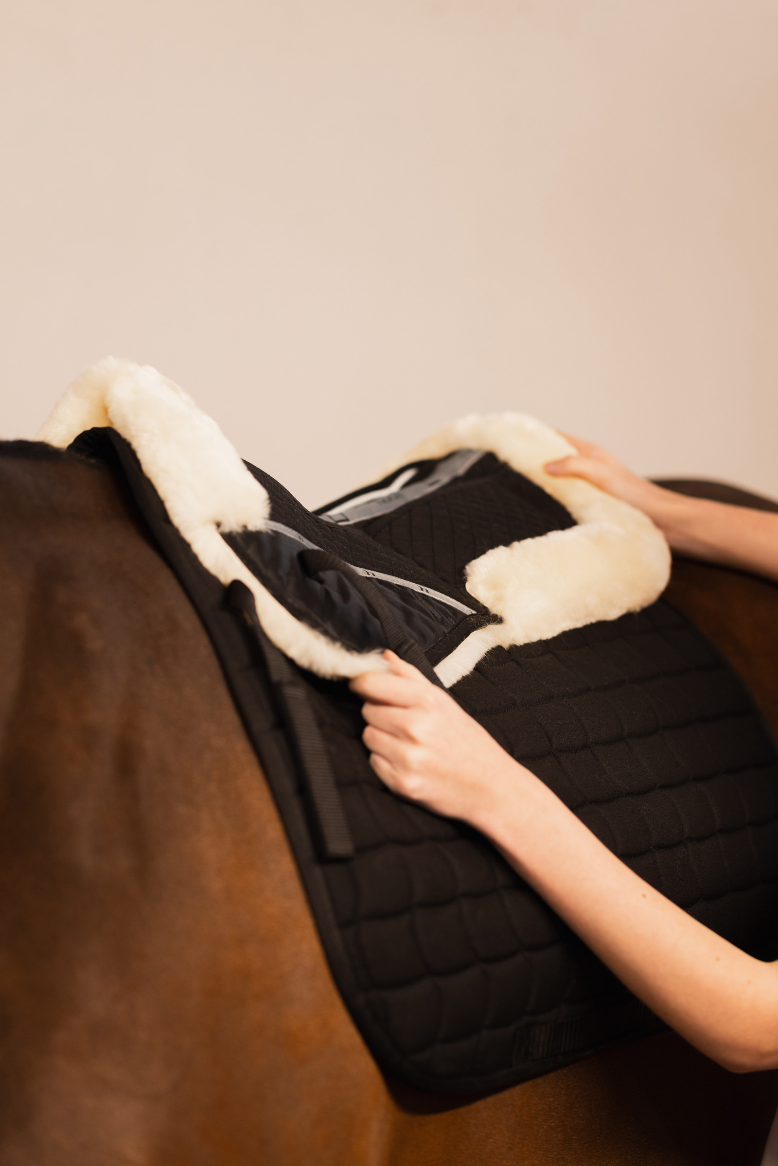 Amortisseur de dos Harleigh Horze