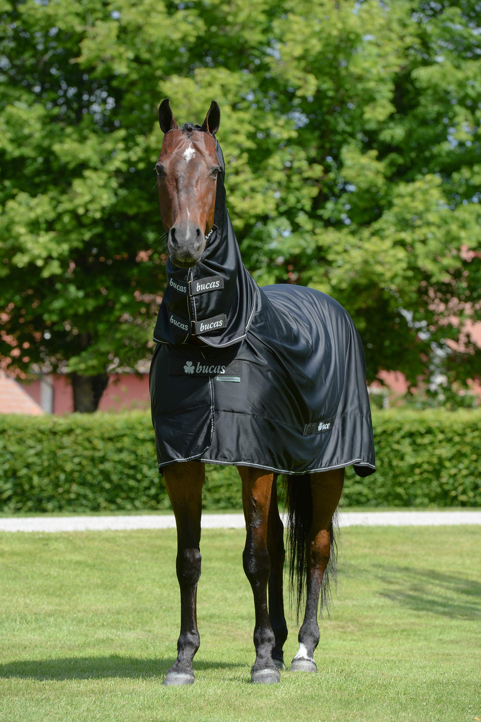 Bucas Shamrock Power couverture avec couvre-cou