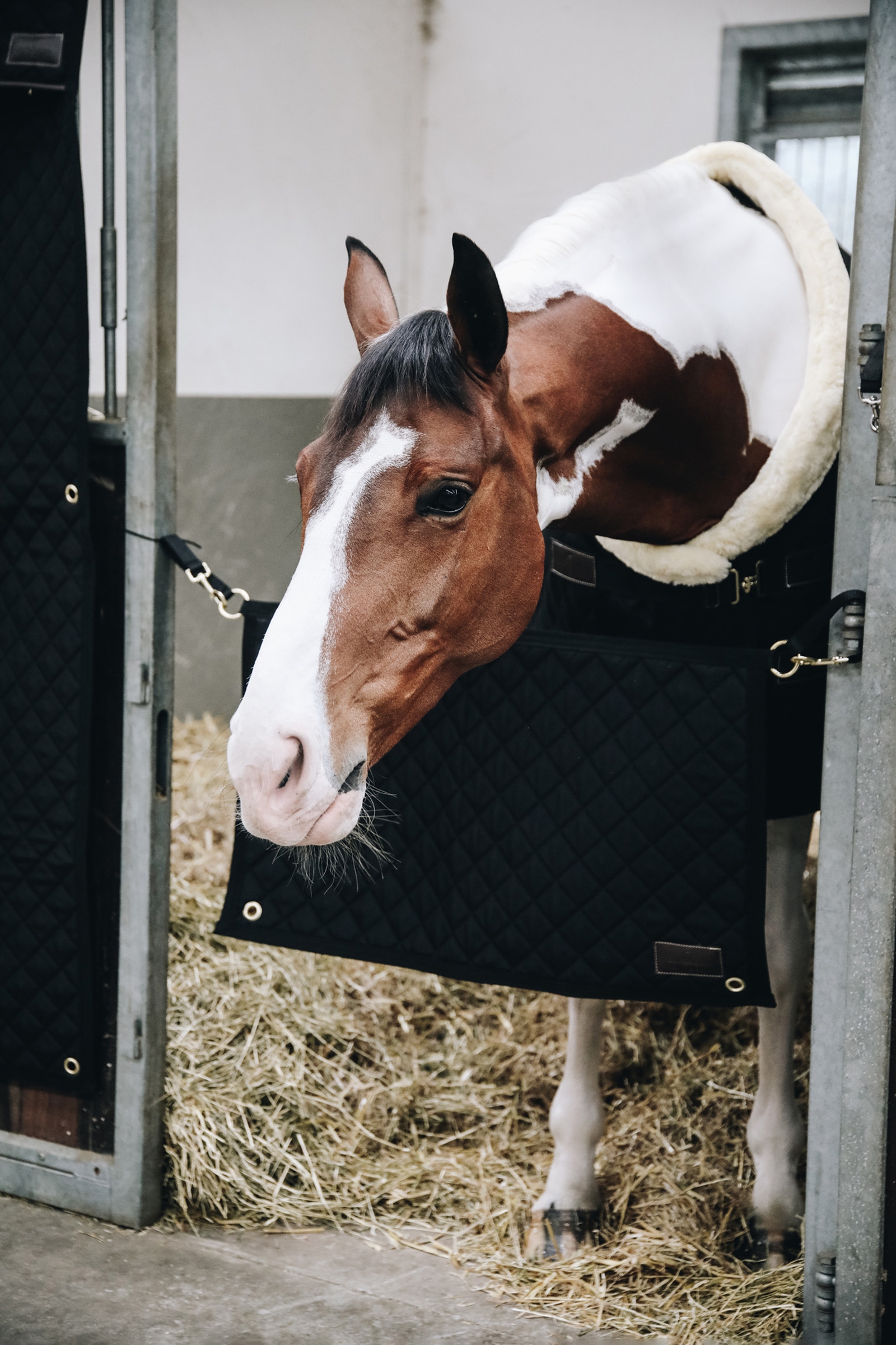 Porte de Boxe Kentucky Horsewear