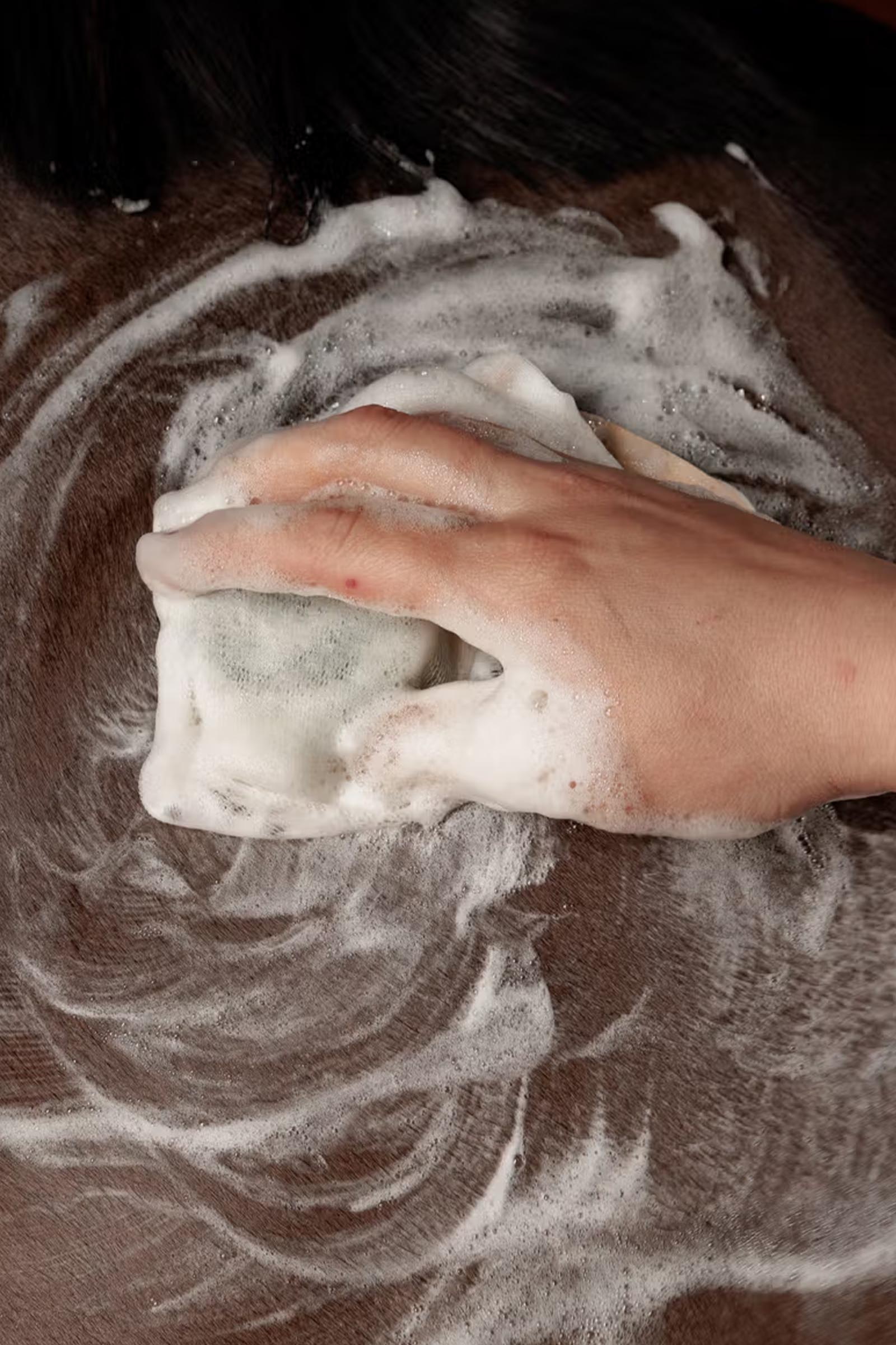 Grooming Deluxe Shampooing solide lavande, 60 g