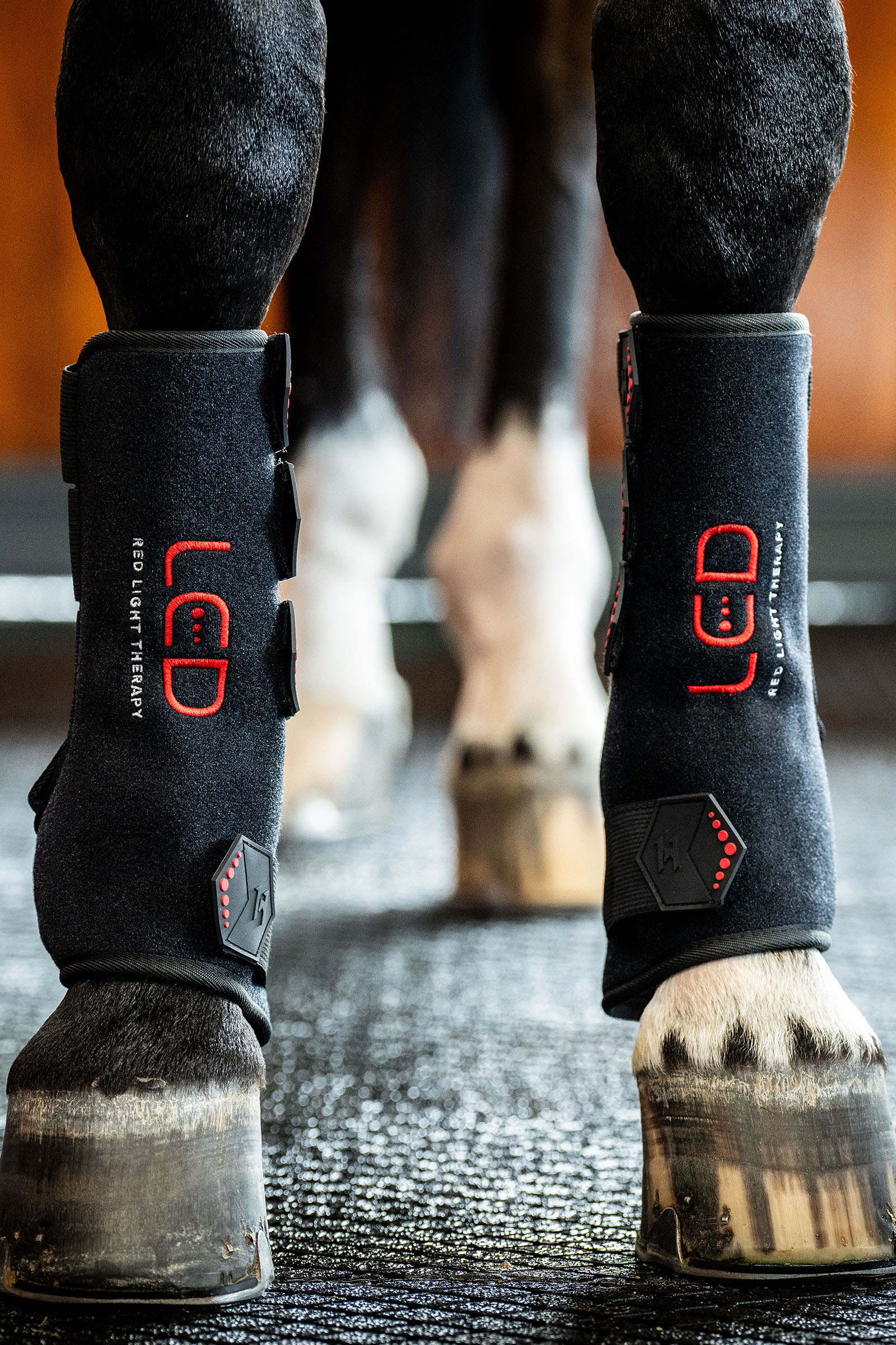 Horseware gu&ecirc;tre th&eacute;rapeutique LED &agrave; lumi&egrave;re rouge (1 pce)