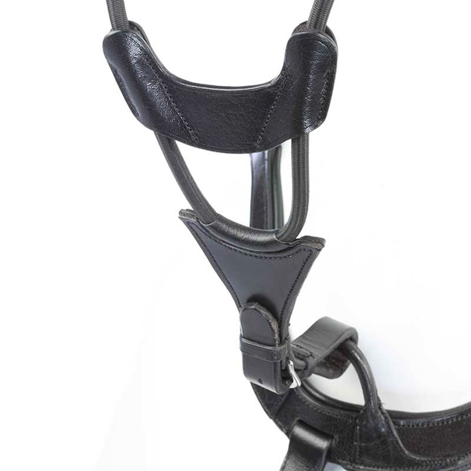 Martingale Kavalkade  Fourche Élastique