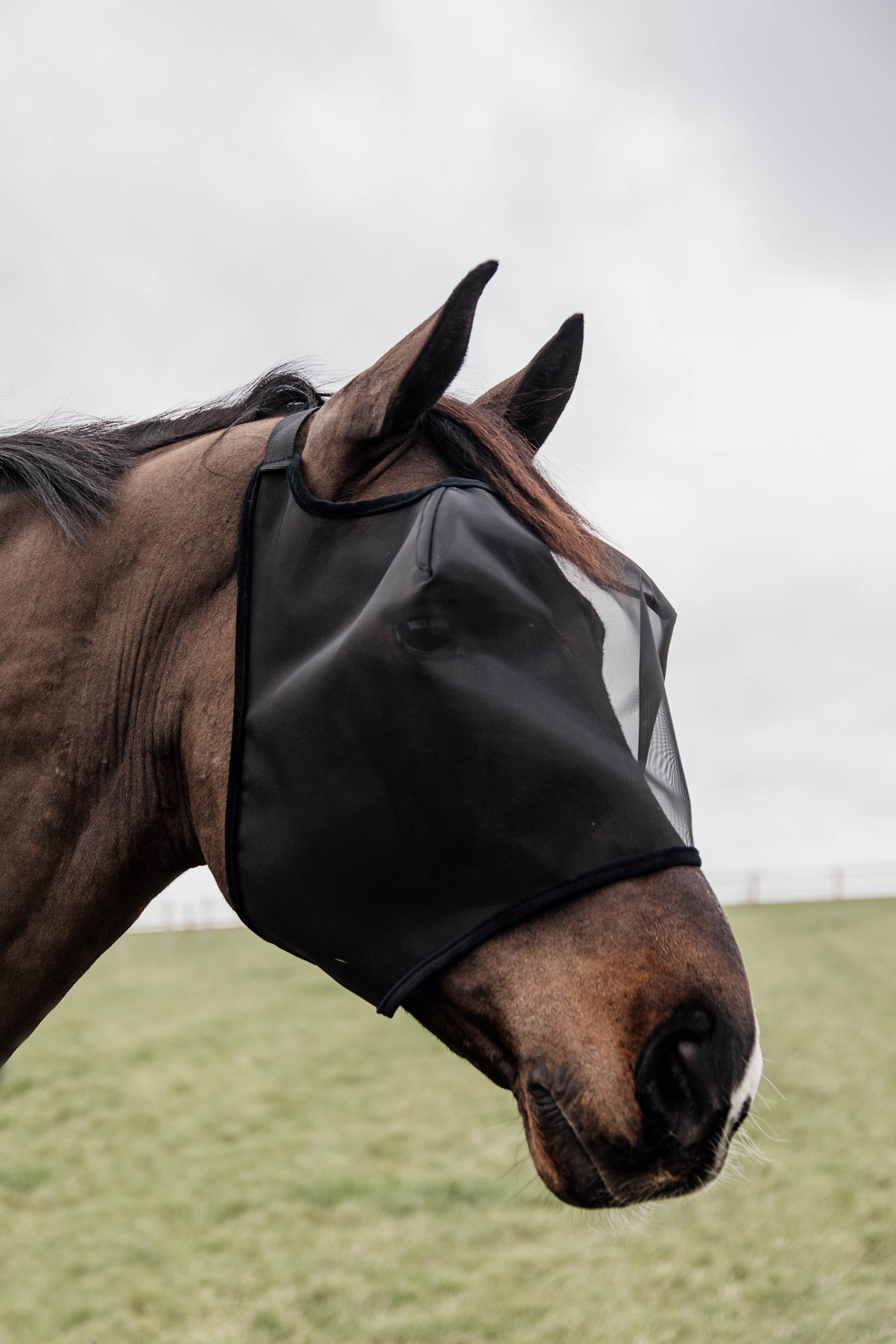 Masque anti-mouches sans oreilles Classic Kentucky Horsewear