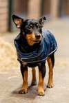 Manteau pour chien Horseware Signature