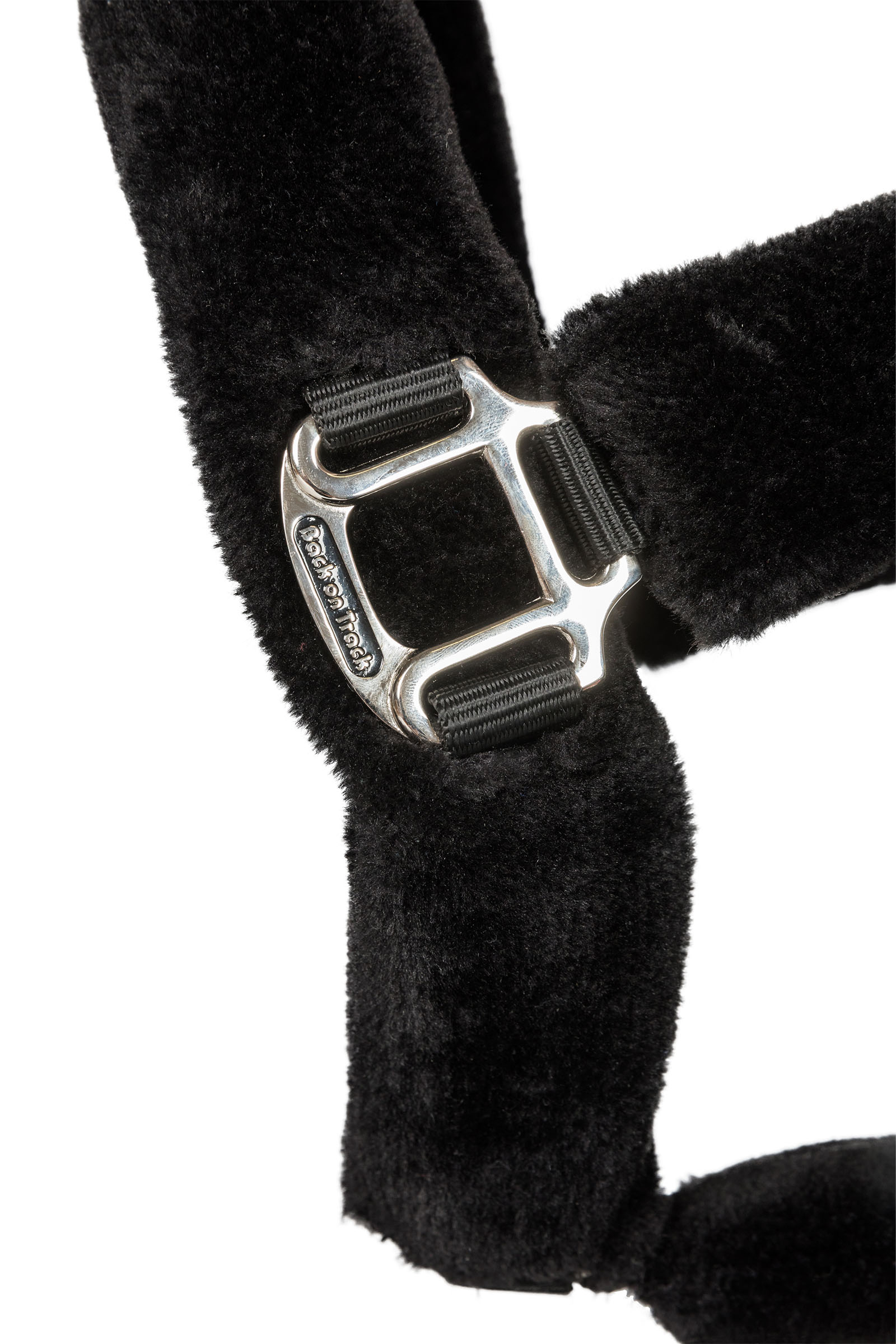 Back on Track Audrey licol