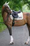 Boss Cambridge tapis de selle dressage