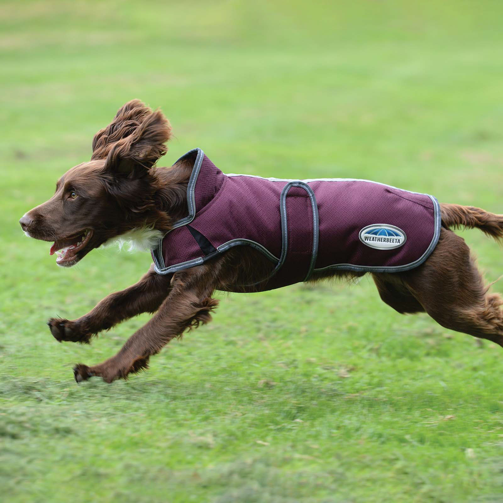 Manteau pour chien Parka Deluxe Weatherbeeta Comfitec Premier Free 220 g