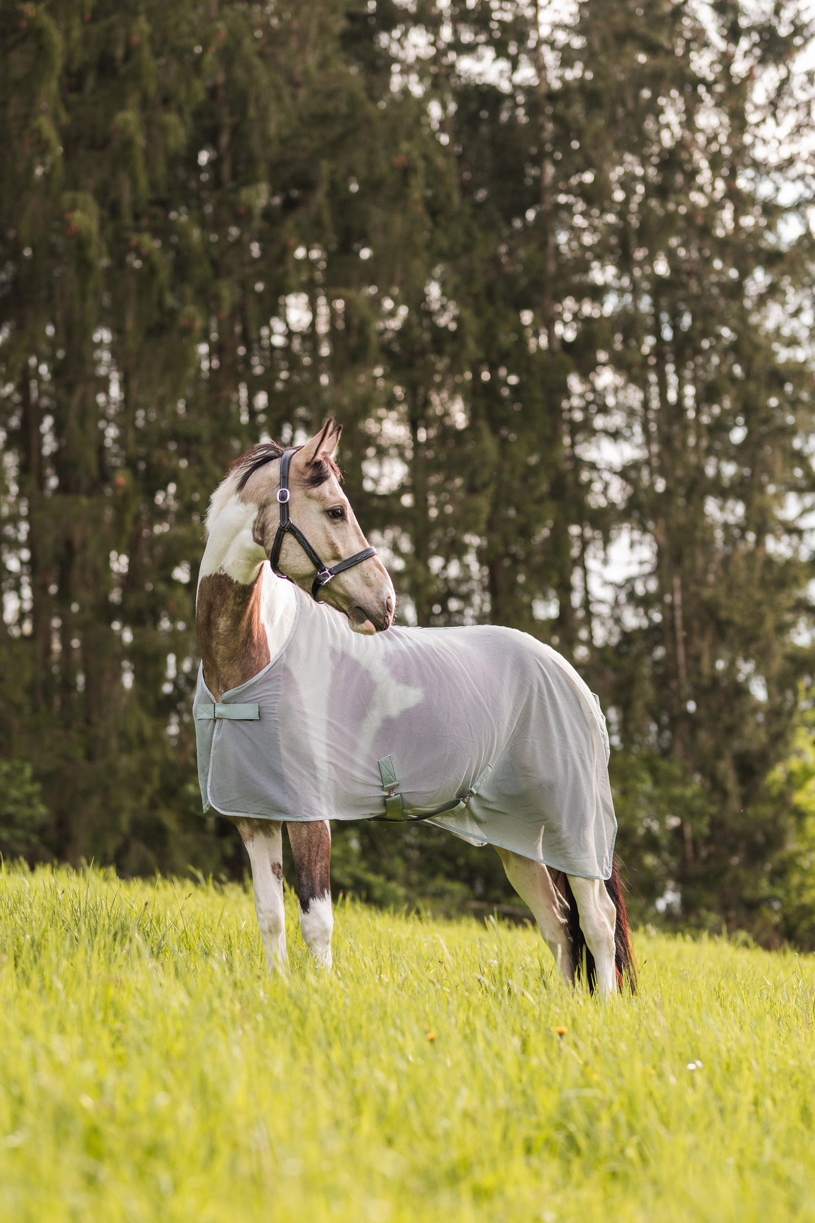 Chemise couverture anti-mouches Horze Orleans