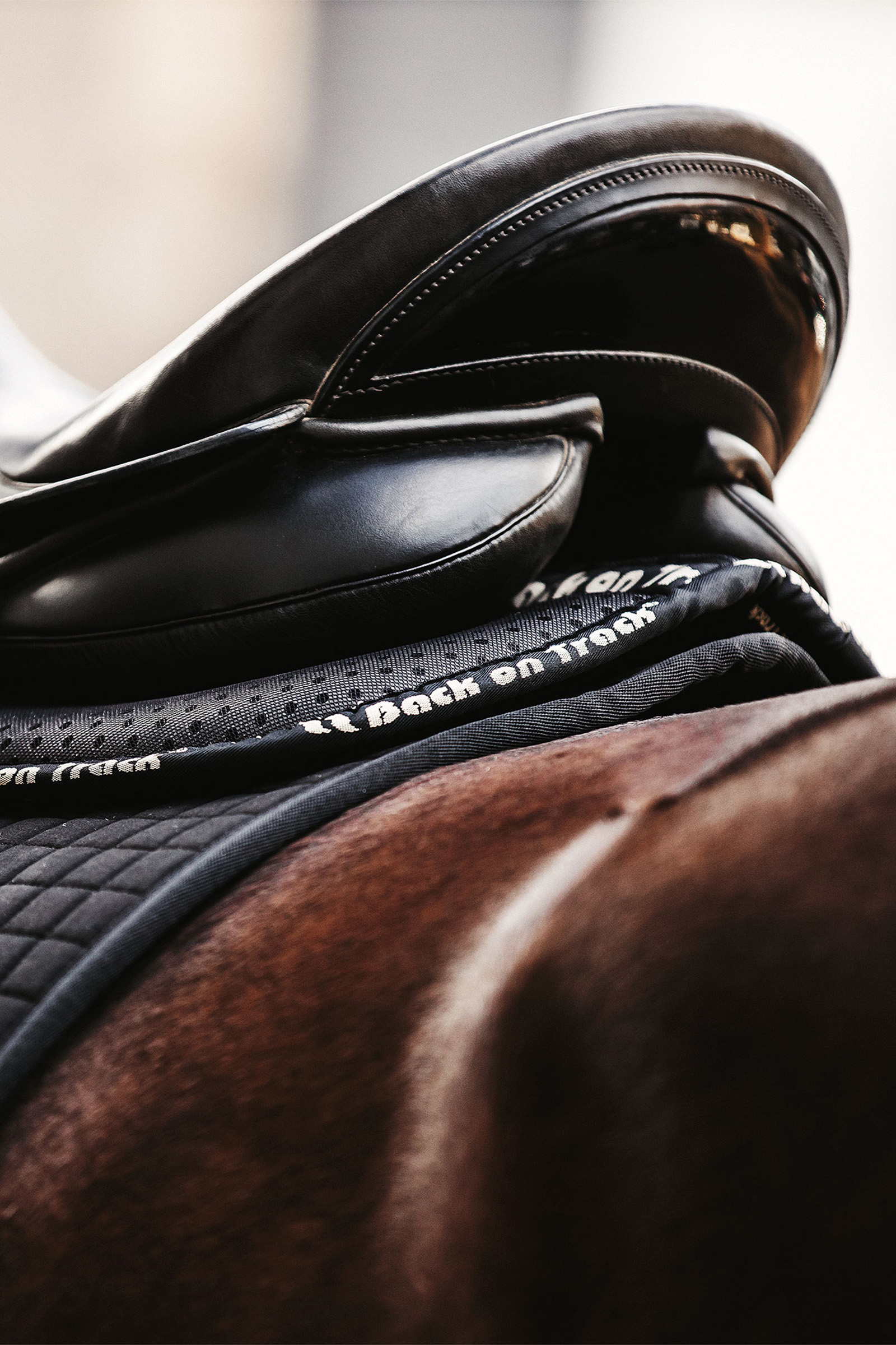 amortisseur Aurora Back onTrack