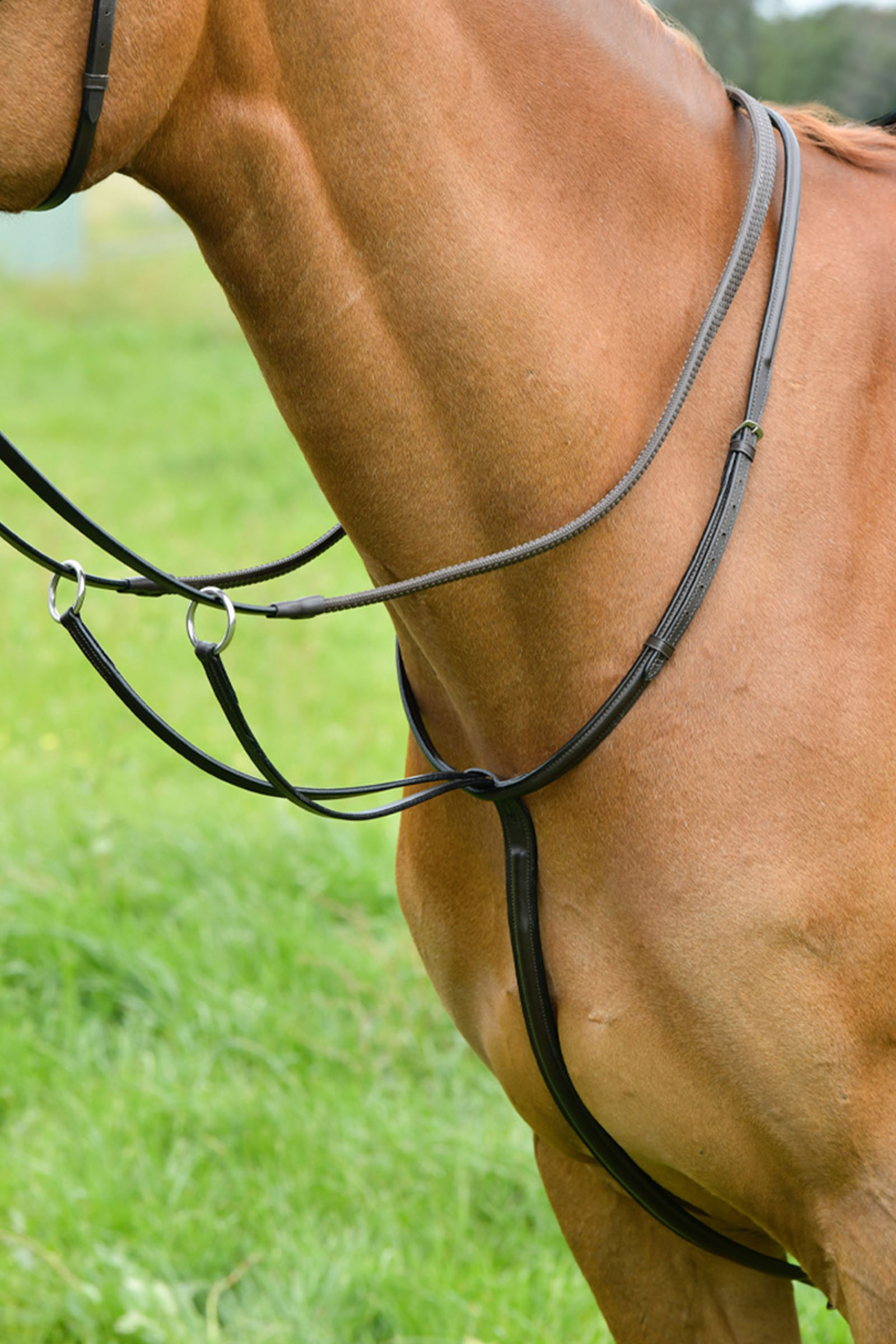 Brown Kincade martingale à anneaux classique avec couture surélevée