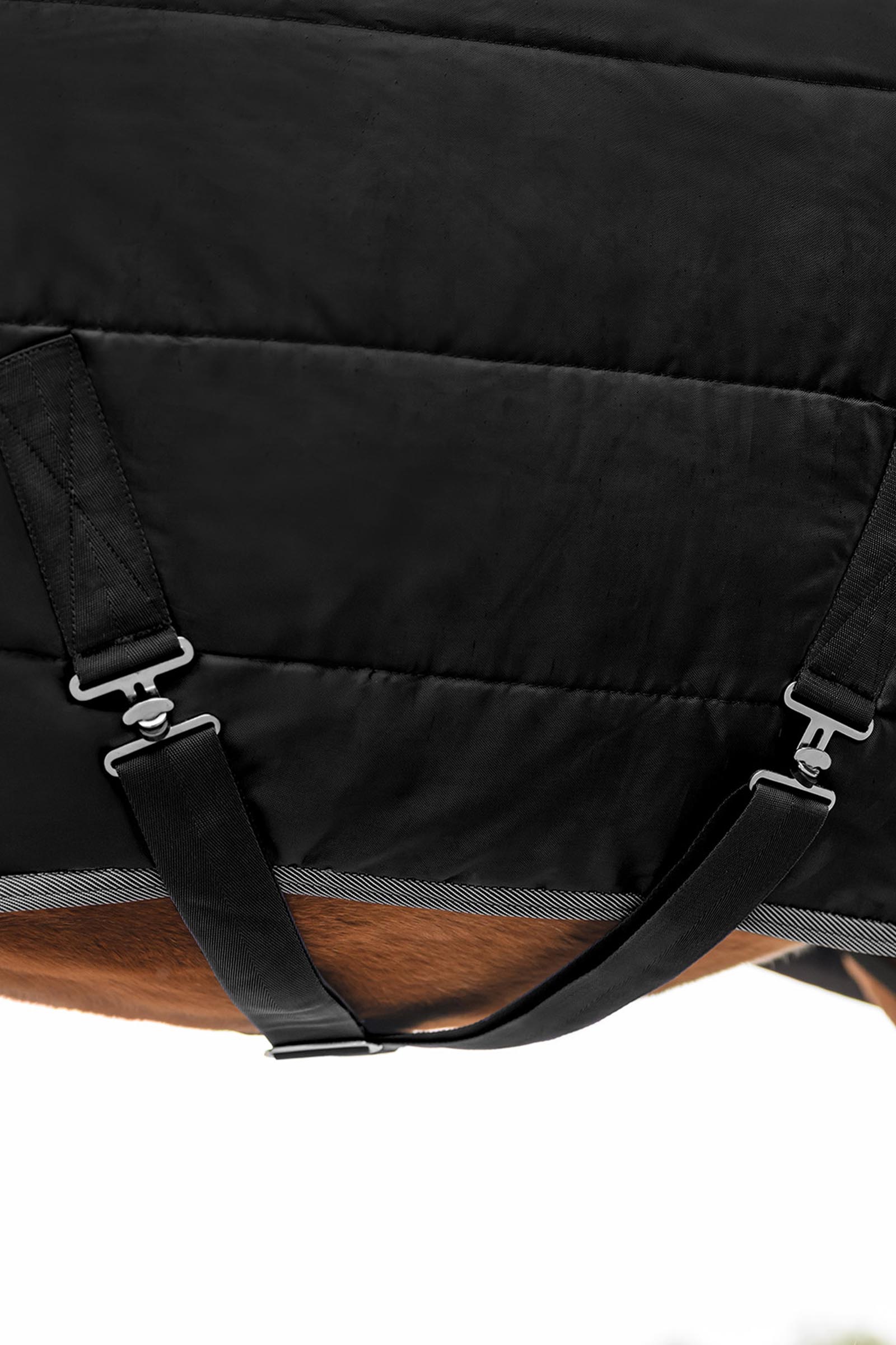 Waldhausen ECONOMIC couverture d&rsquo;&eacute;curie, 100g