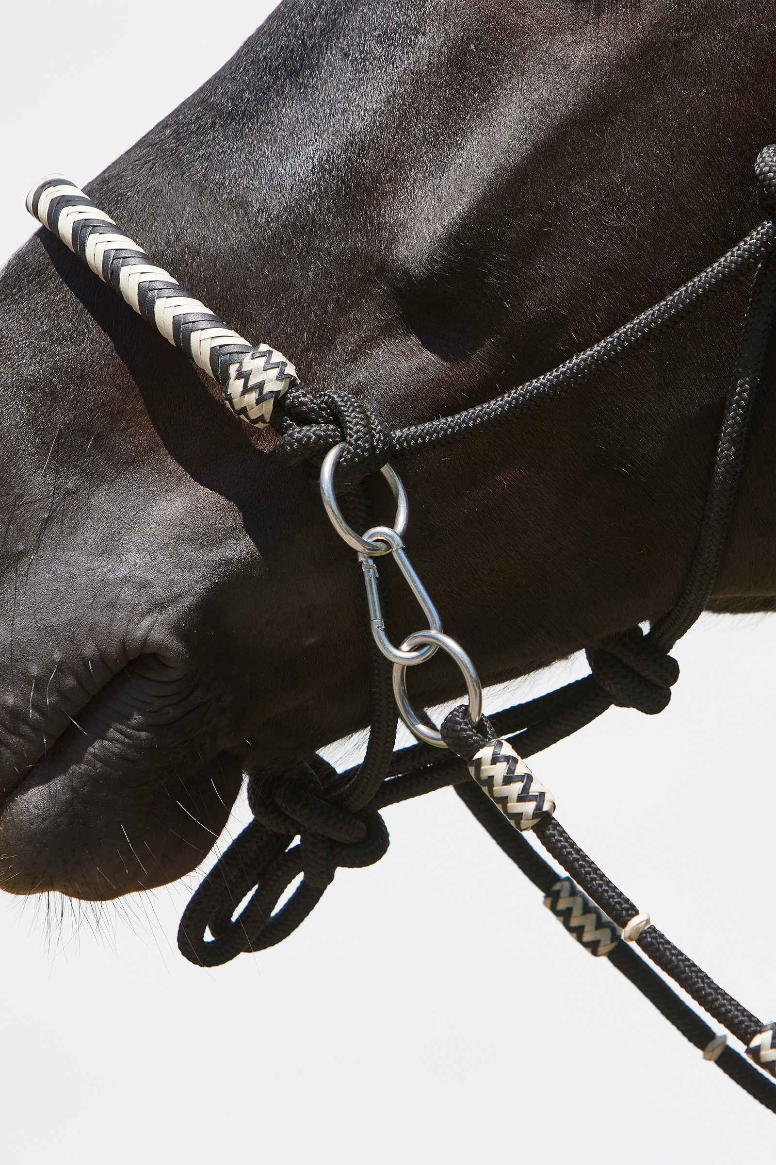 Kieffer Enya Rope Halter