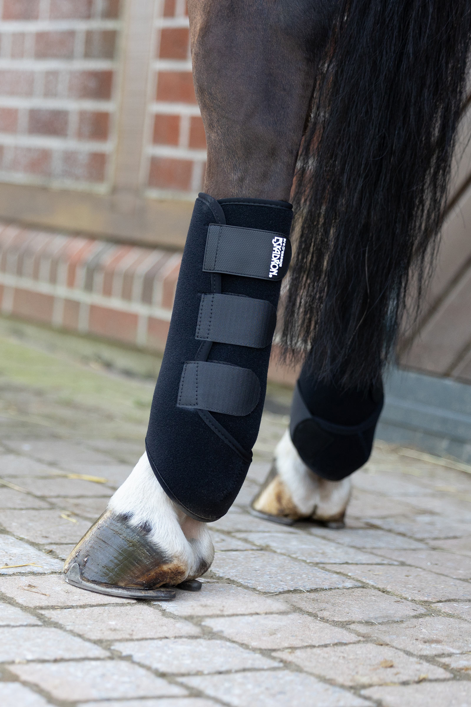 Eskadron Platinum 25 Pro Guêtres Tendon Arrière Dressage