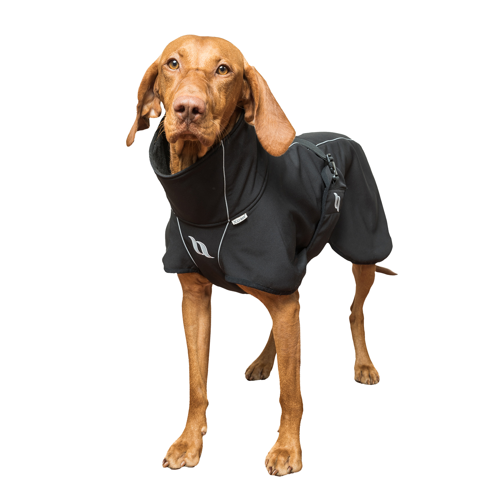 Manteau pour chien Back on Track Nella All-Round, 55-65 cm